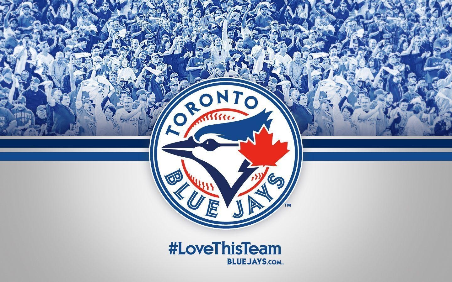 1440x900 Blue Jays Wallpaper, Desktop