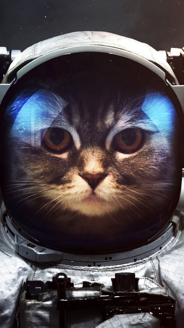 750x1340 Cat, cosmonaut, space suit, space wallpaper. Space phone wallpaper, Astronaut cat, Animal wallpaper, Phone