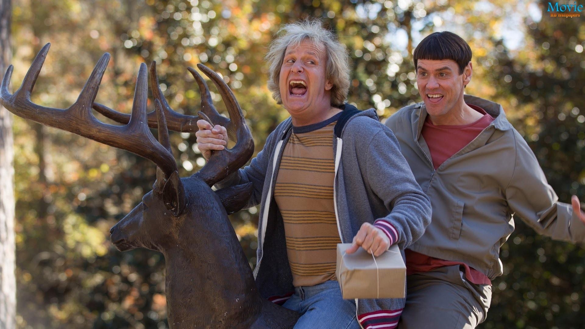 1920x1080 Dumb and Dumber Wallpaper. Dumb, Desktop