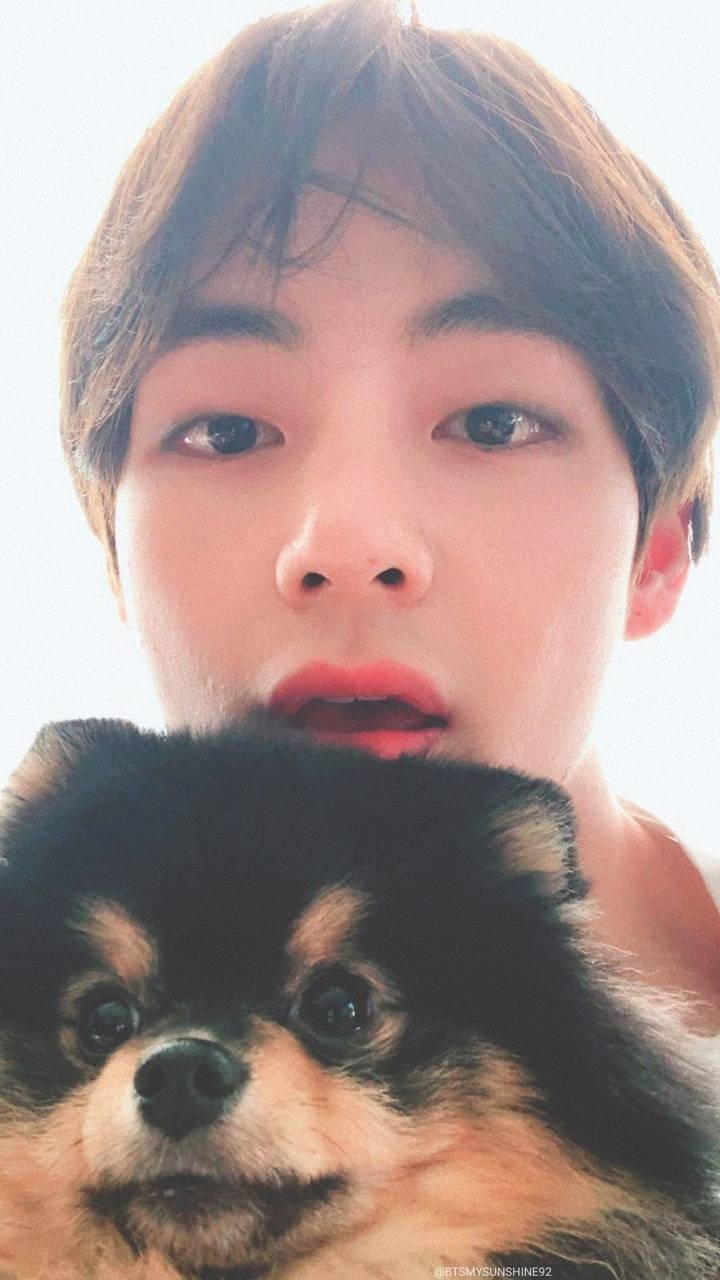 720x1280 Taehyung and yeontan wallpaper, Phone