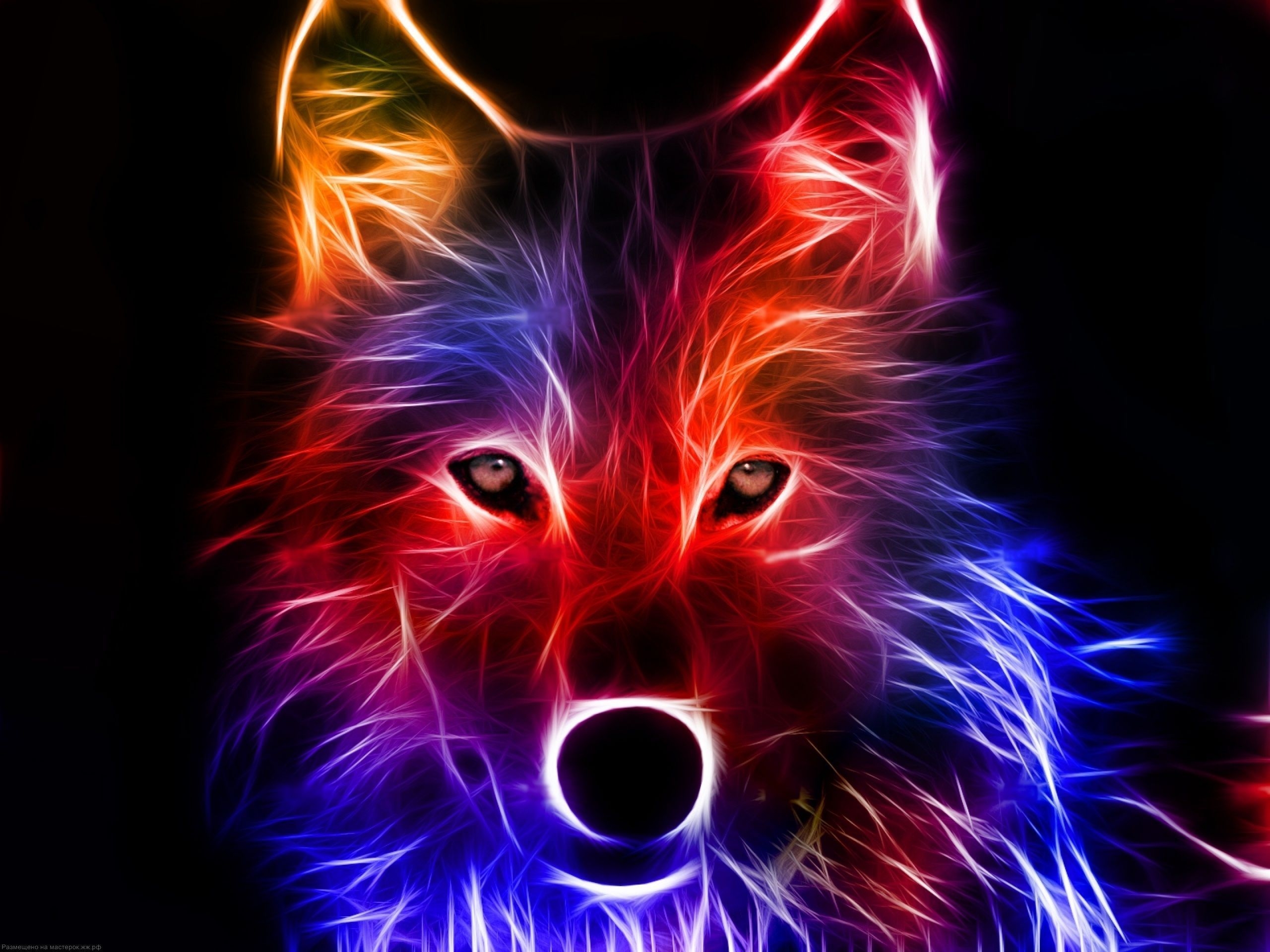 2560x1920 Neon Animal Wallpaper Free Neon Animal Background, Desktop