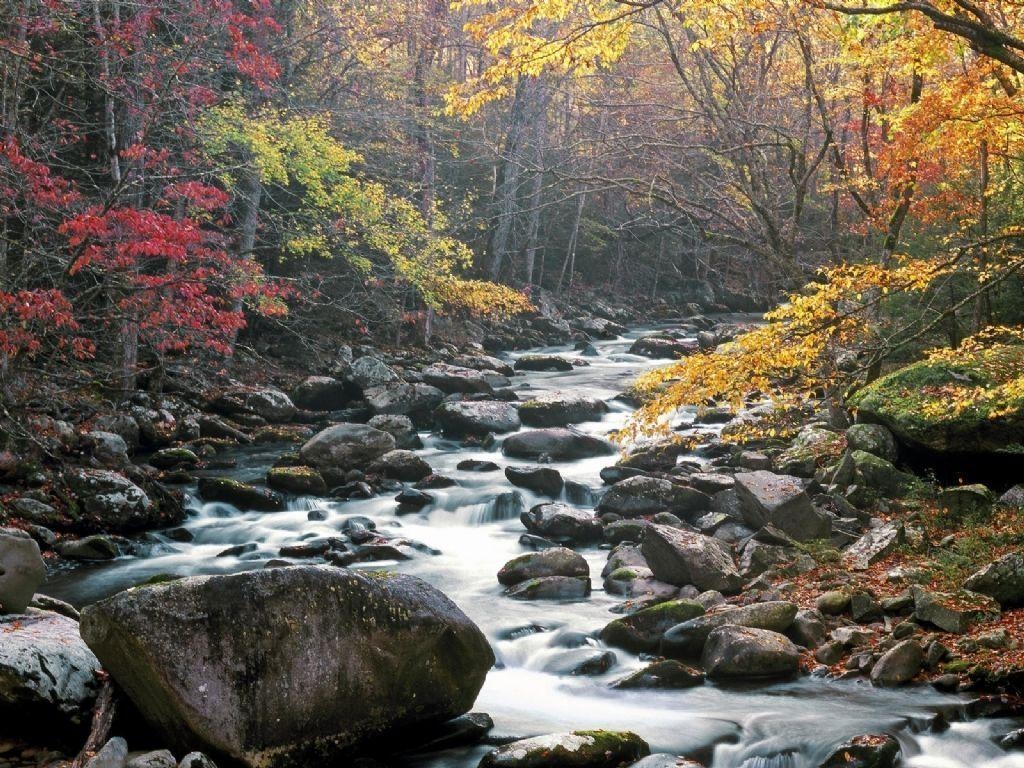 1030x770 Nature: Little River, Tremont, Great Smoky Mountains National Park, Desktop