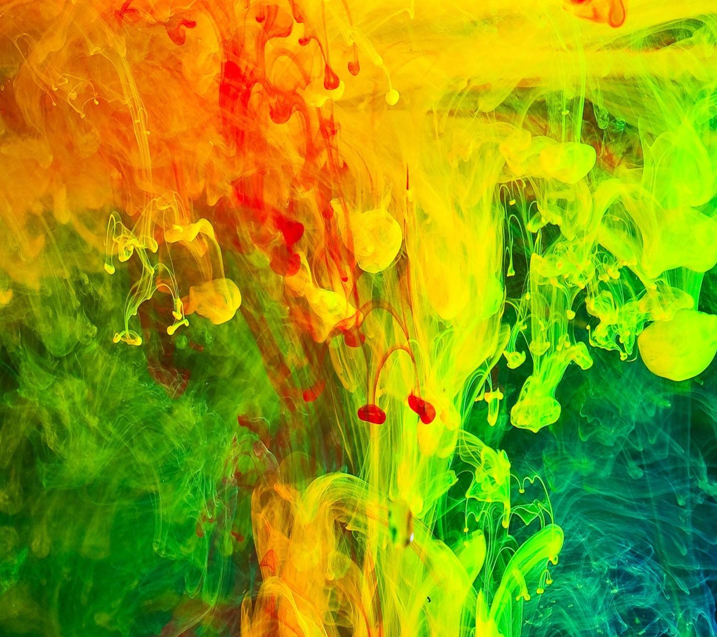 1440x1280 Download Free Holi Festival Wallpaper For Your Mobile, Desktop