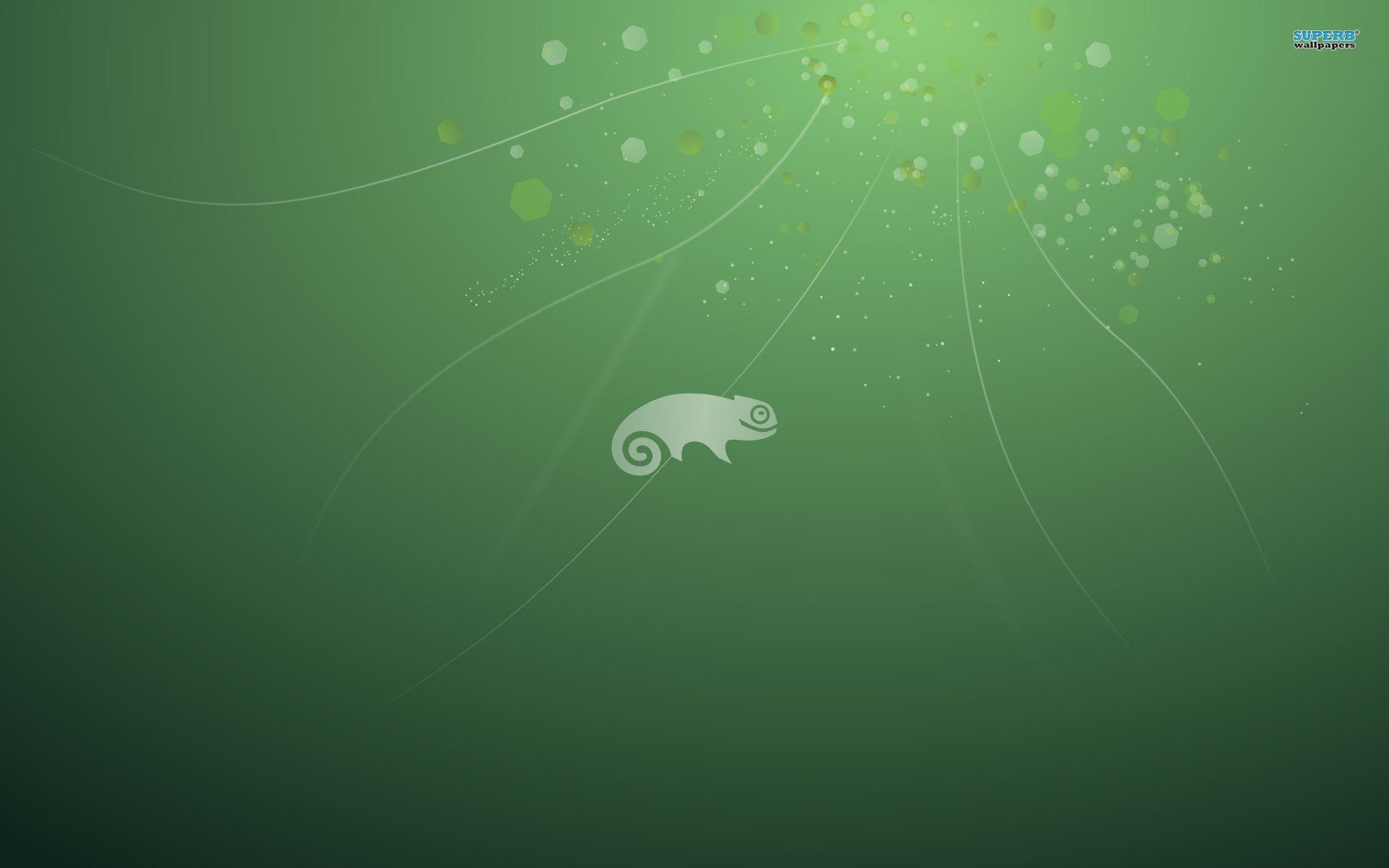 1920x1200 Opensuse 10934, Desktop