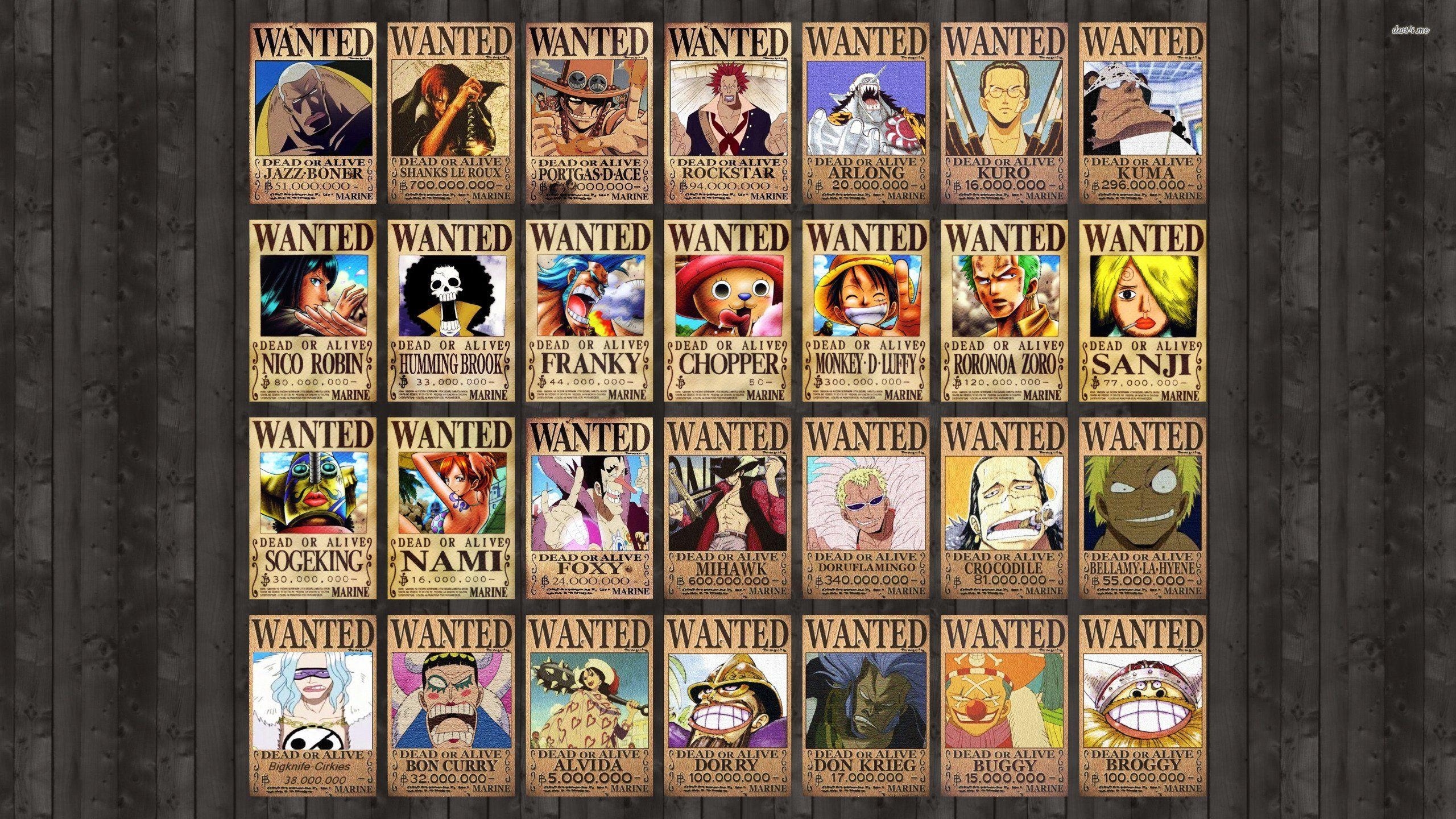 2560x1440 One Piece Wanted Poster, Desktop