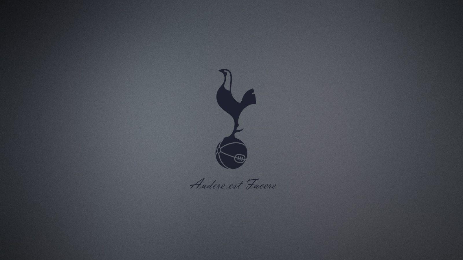 1600x900 Tottenham Hotspur F C Wallpaper, Desktop