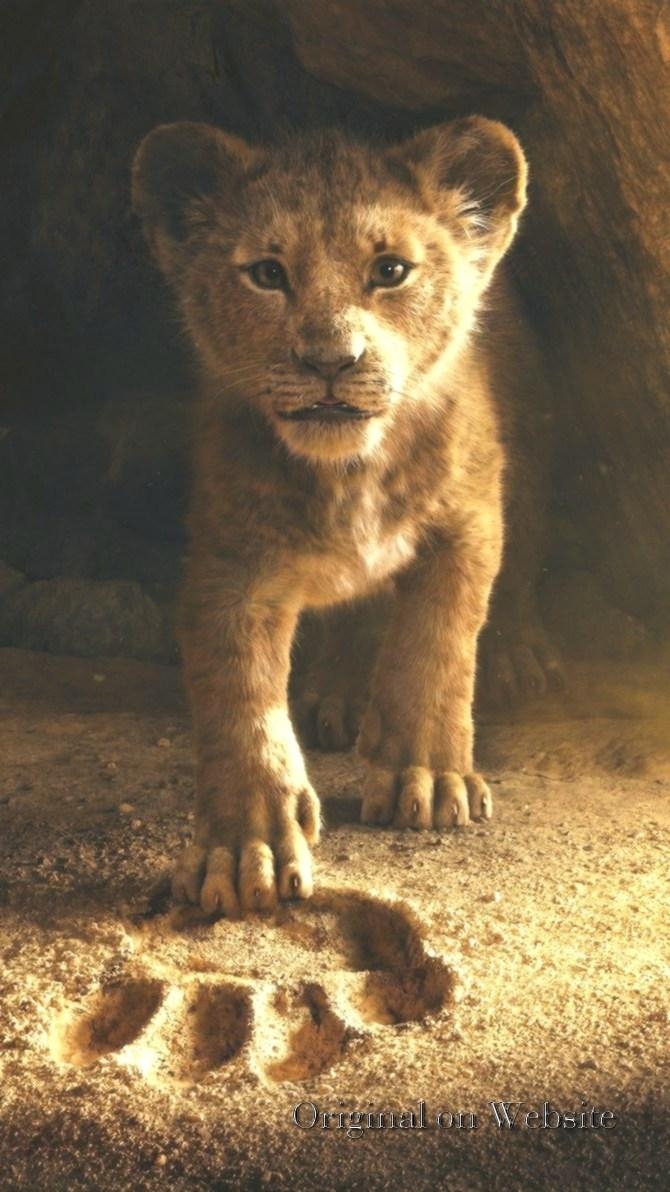 670x1200 Lion King 2019 Wallpaper, Phone