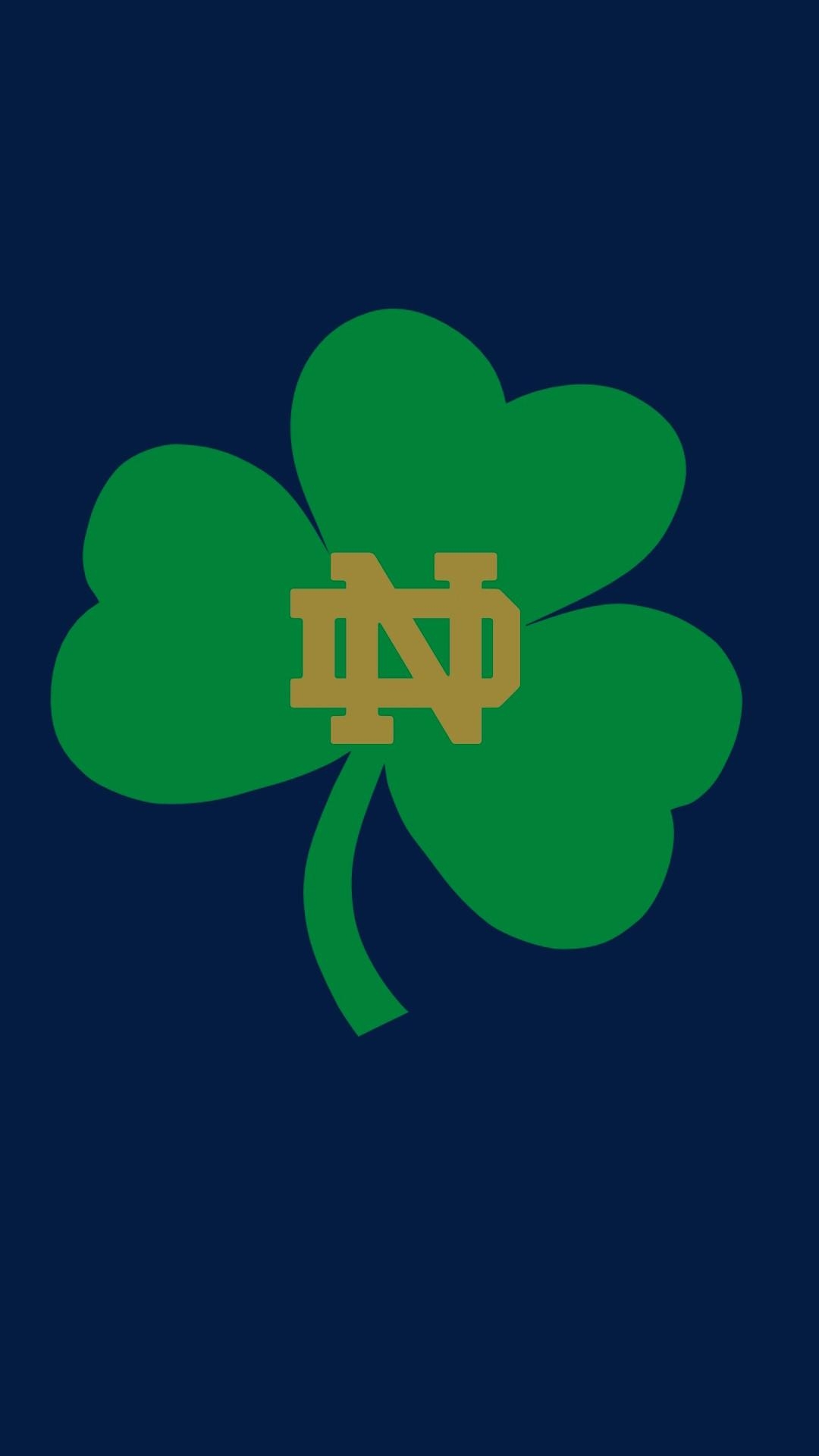 1080x1920 Notre Dame Wallpaper, Phone