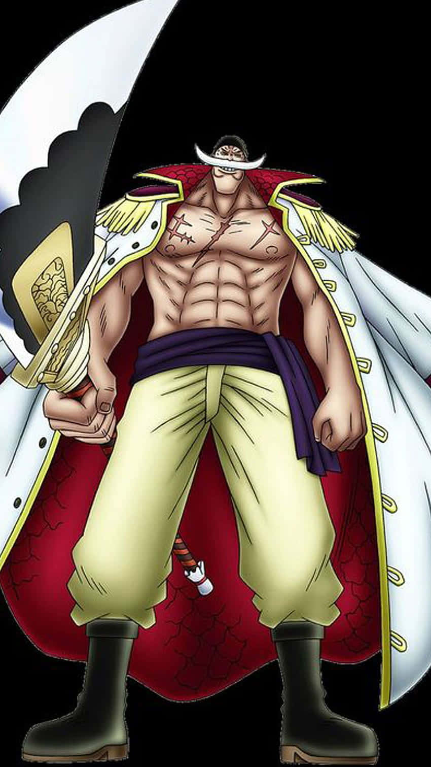 850x1520 Download Whitebeard, Strongest and Most Feared Pirate of the Sea Wallpaper, Phone