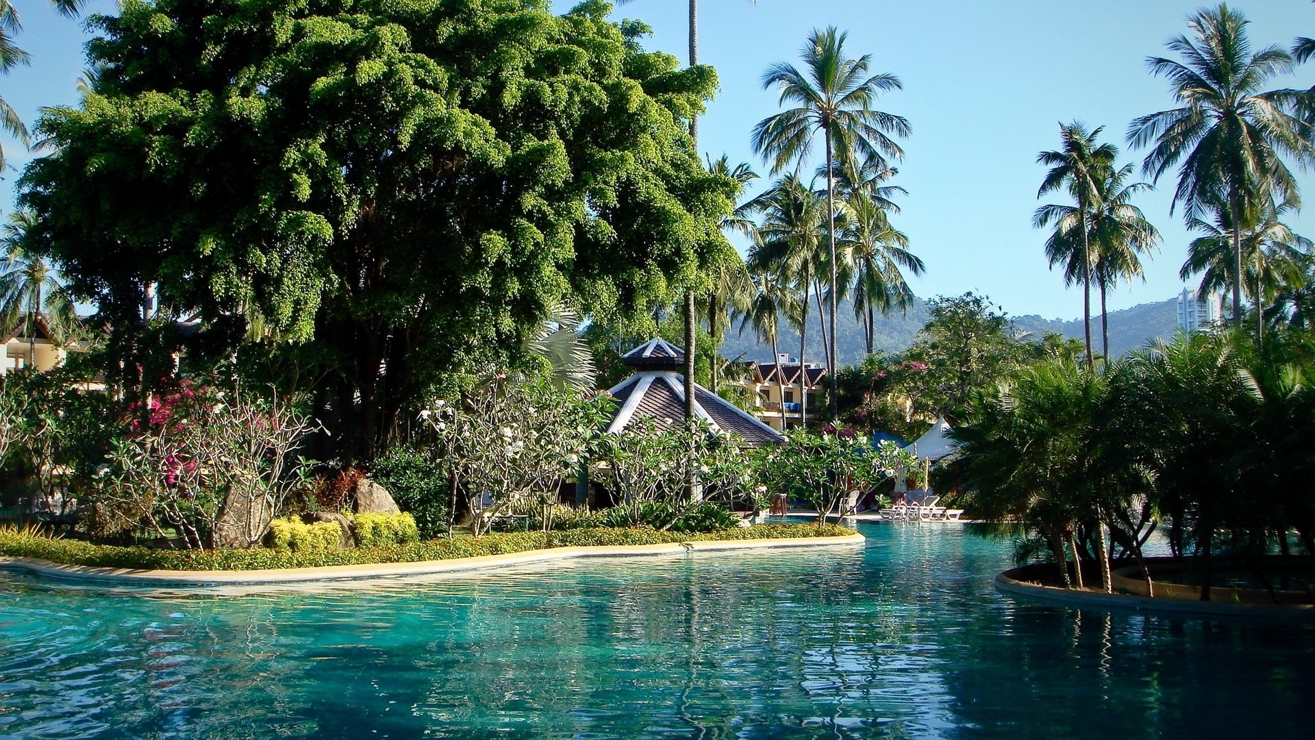 1920x1080 Download wallpaper  park, phuket, thailand, pool, palms, Desktop