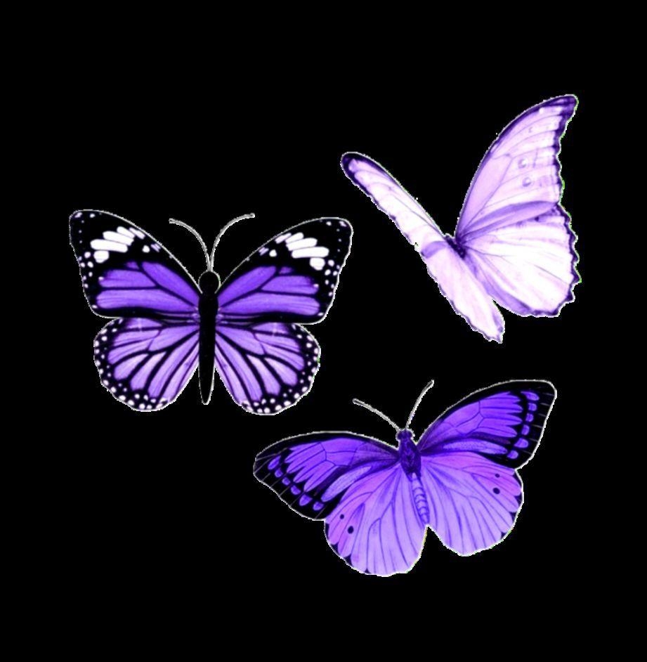 930x950 Aesthetic Butterfly Wallpaper Free Aesthetic Butterfly, Phone