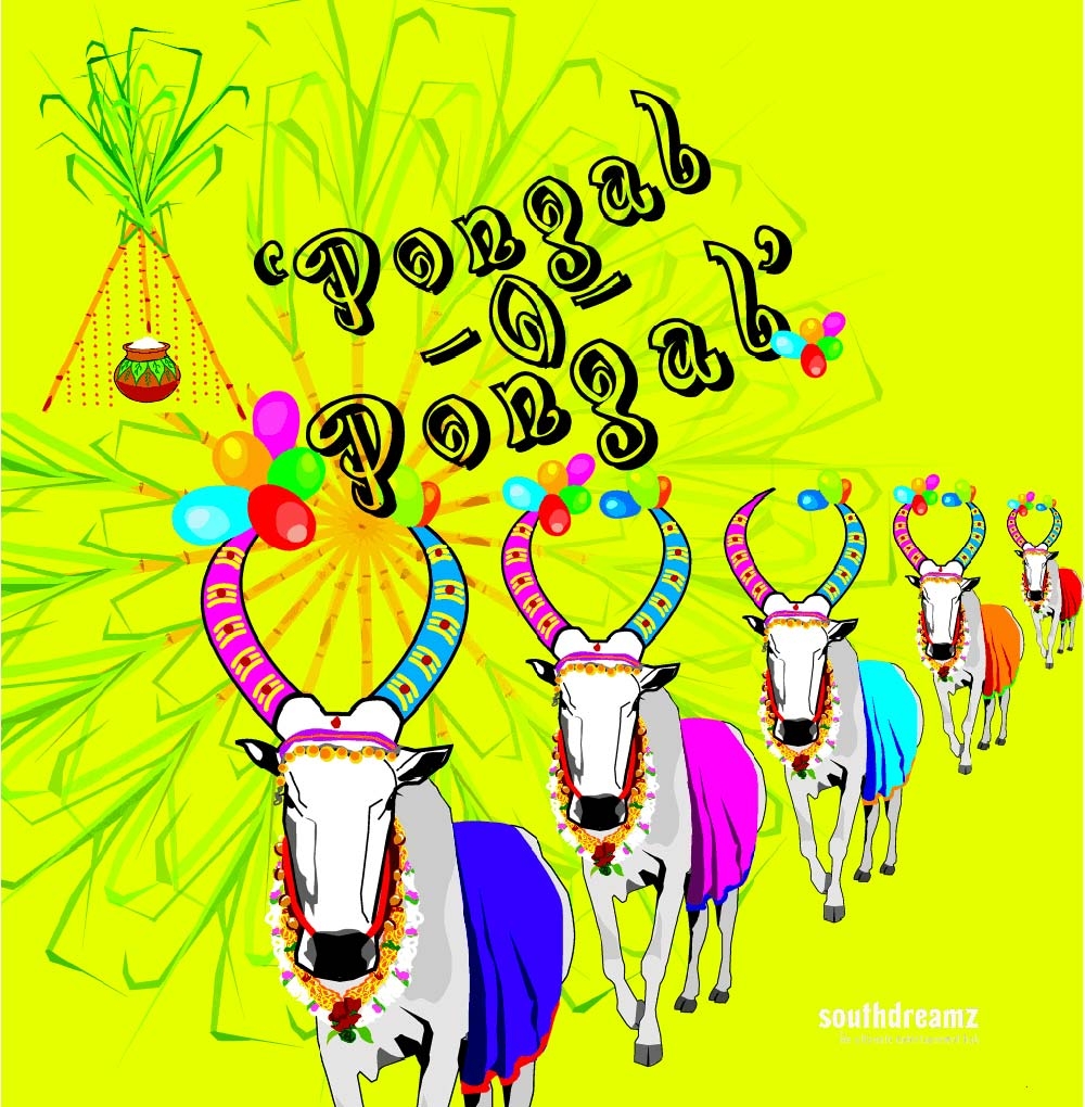 1000x1020 Pongal Festival Image Wallpaper Pongal Wishes In Tamil Wallpaper & Background Download, Phone