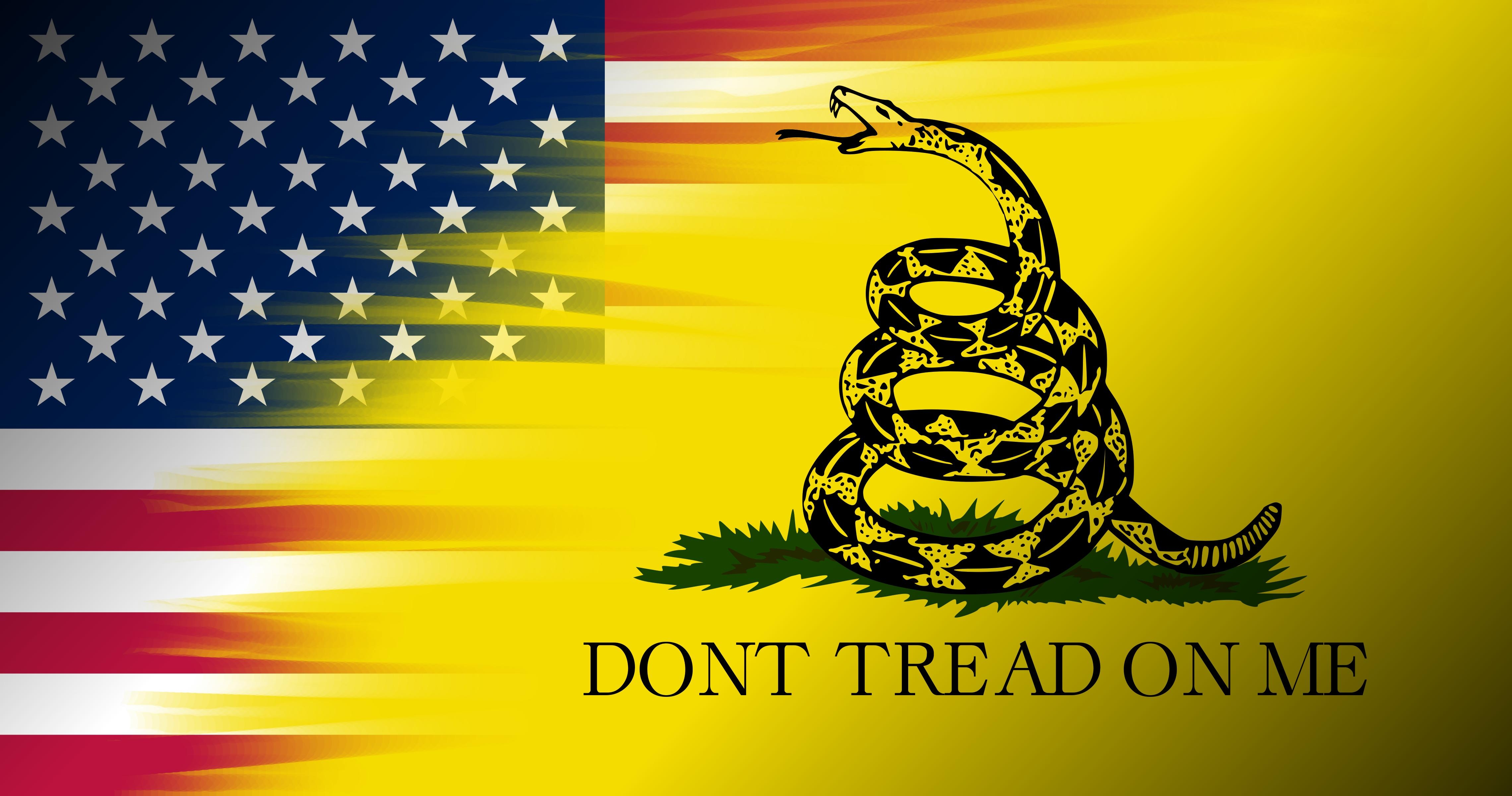 4560x2400 Dont Tread On Me Wallpaper, Desktop