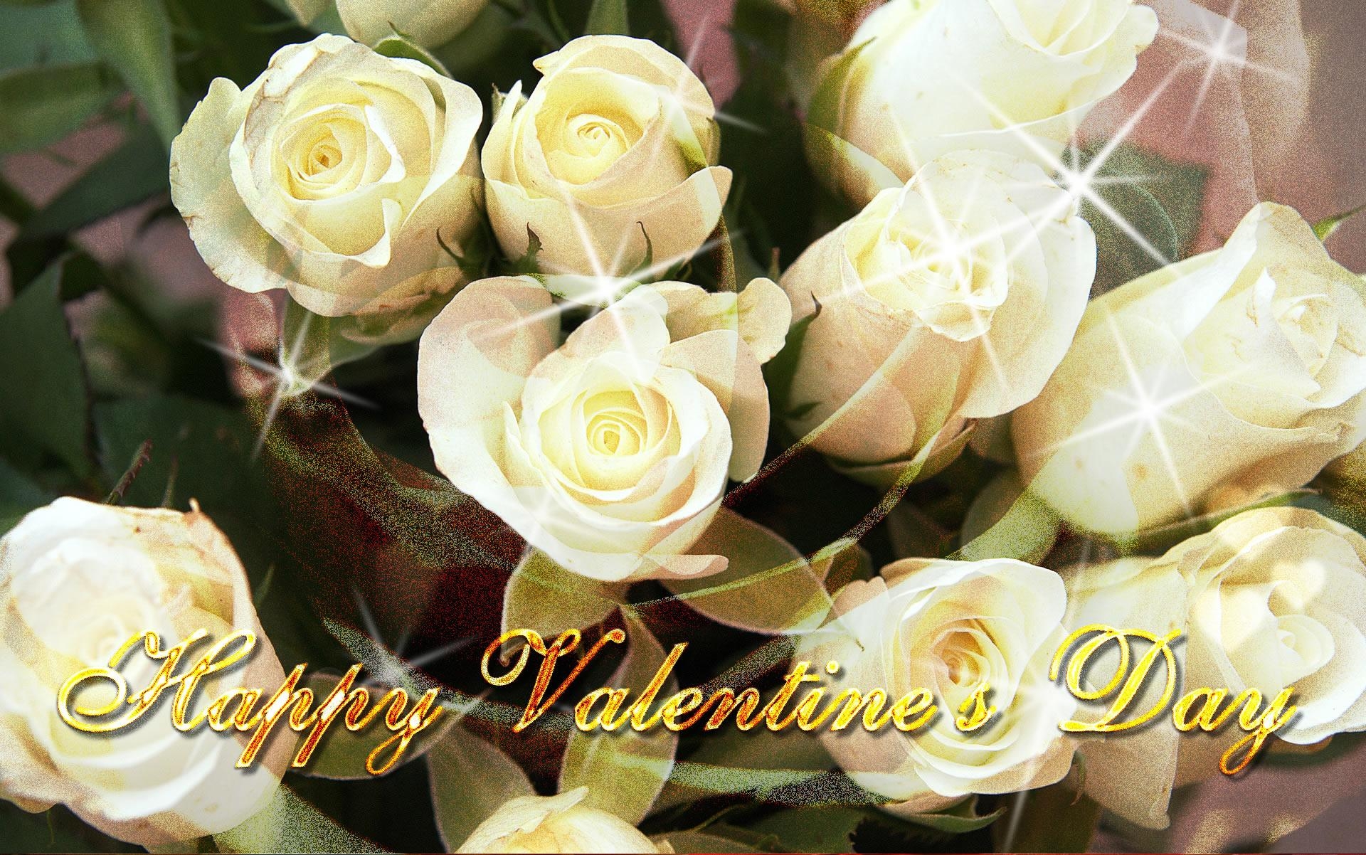 1920x1210 Happy Valentine's Day white roses, Desktop