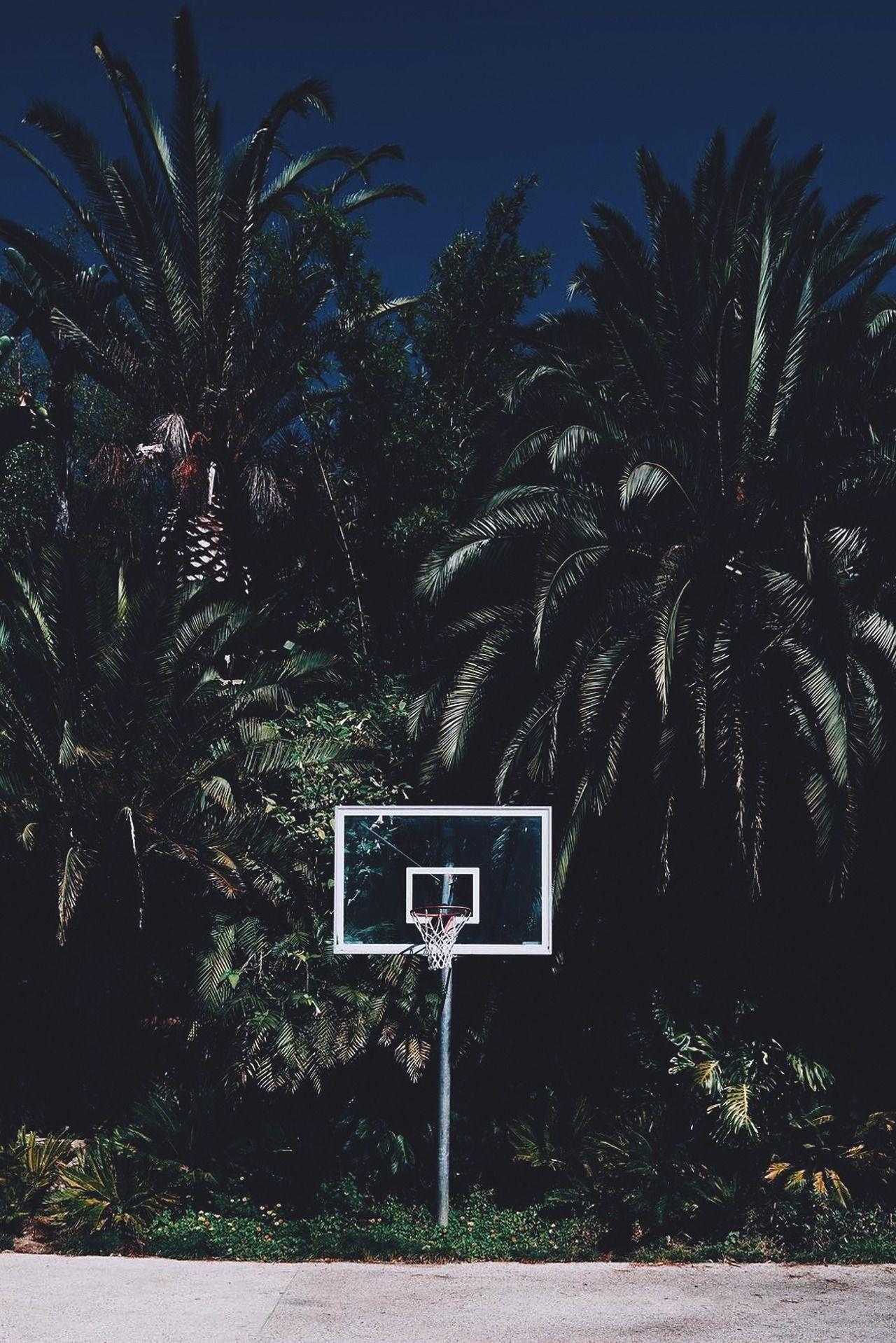 1280x1920 Basketball. Palm tree iphone, Phone