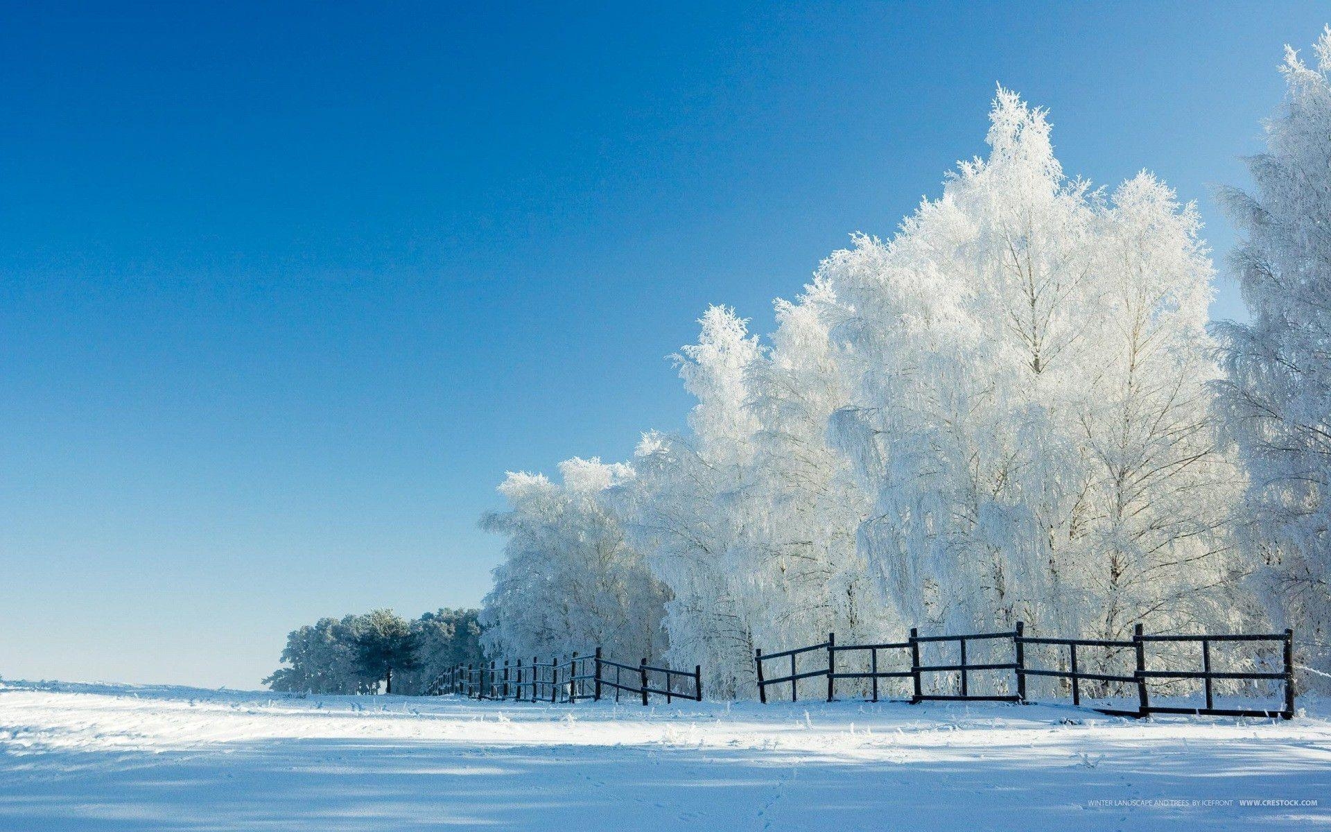 1920x1200 Snow Scene, Desktop