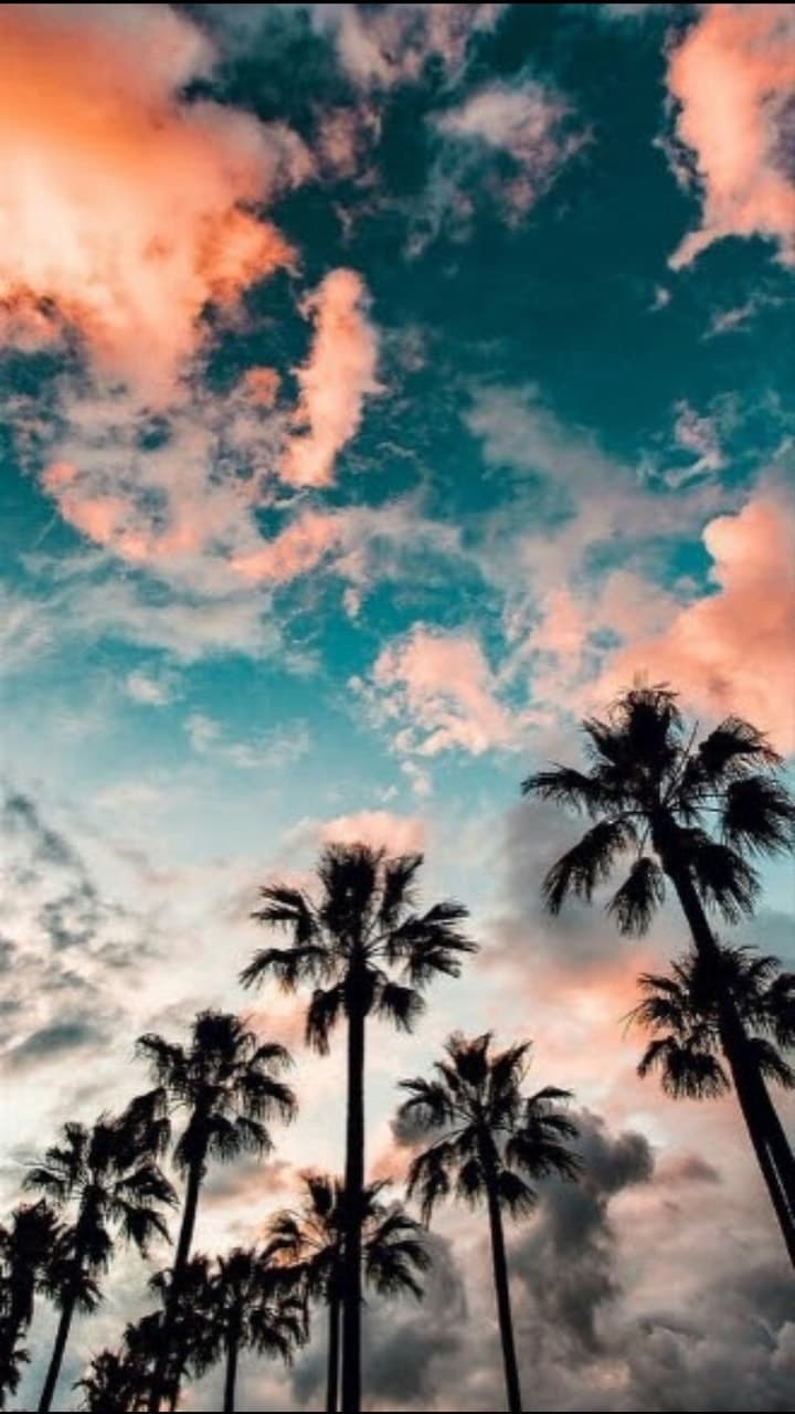 720x1280 Summer Aesthetic Wallpaper Free Summer Aesthetic, Phone