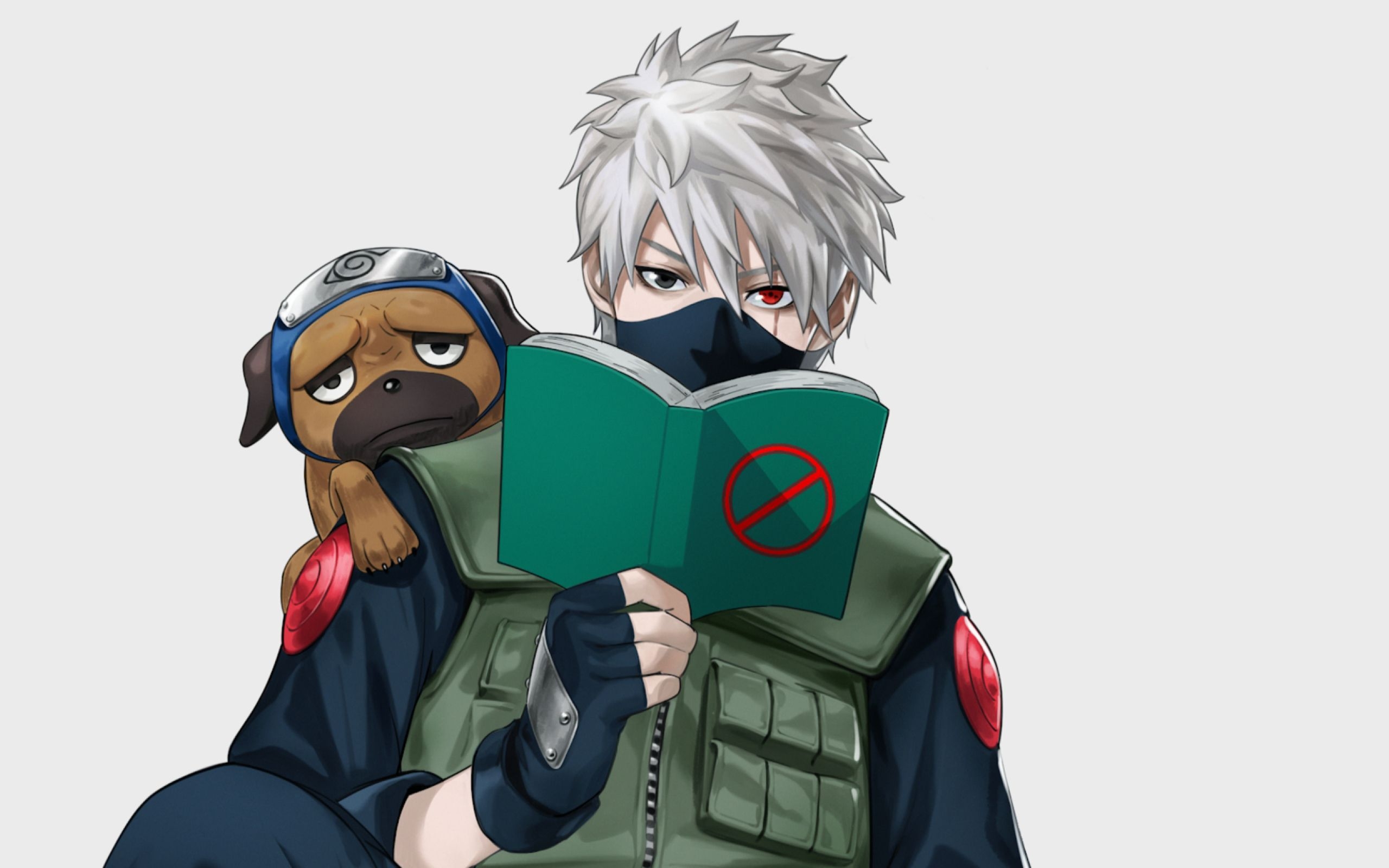 2560x1600 Kakashi Hatake and Pakkun  Resolution Wallpaper, Desktop