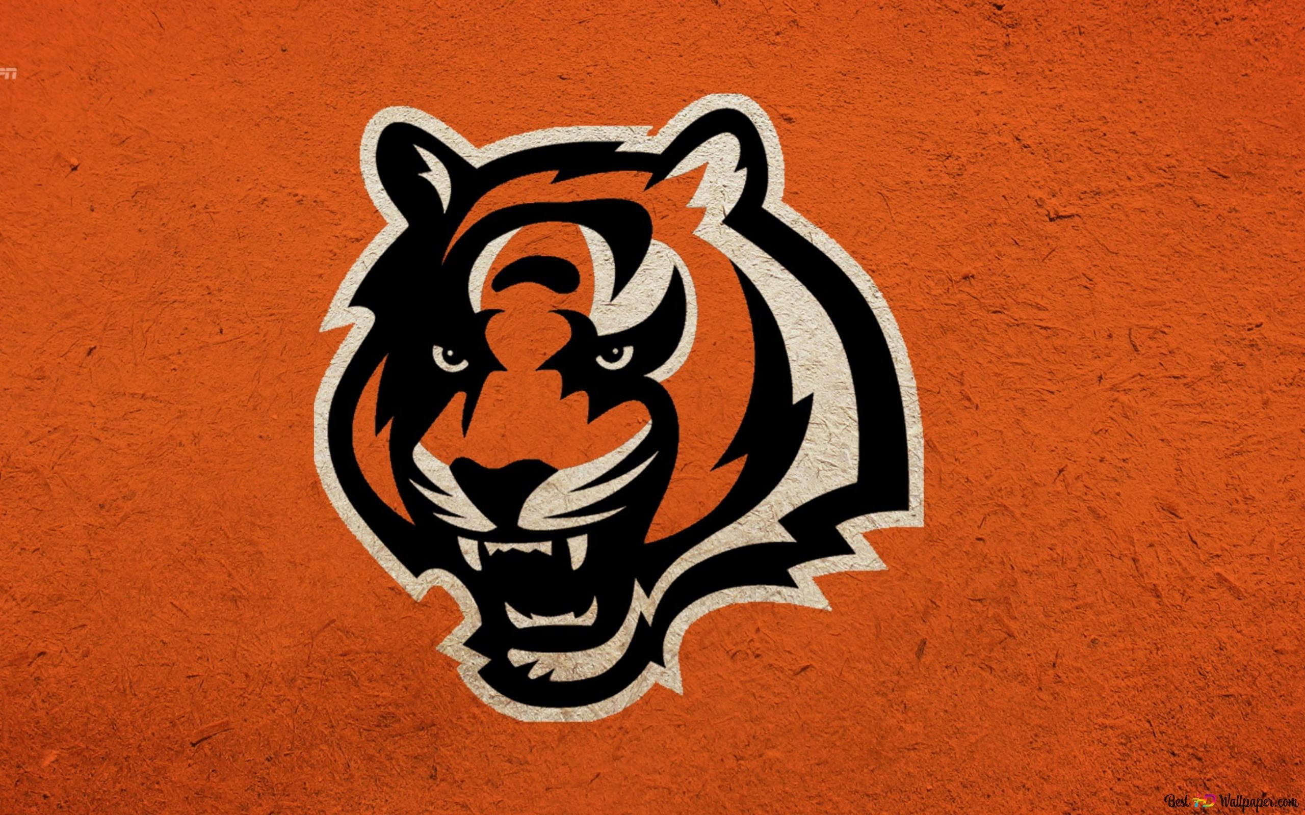 2560x1600 Cincinnati Bengals, orange and black tiger head 2K wallpaper download, Desktop