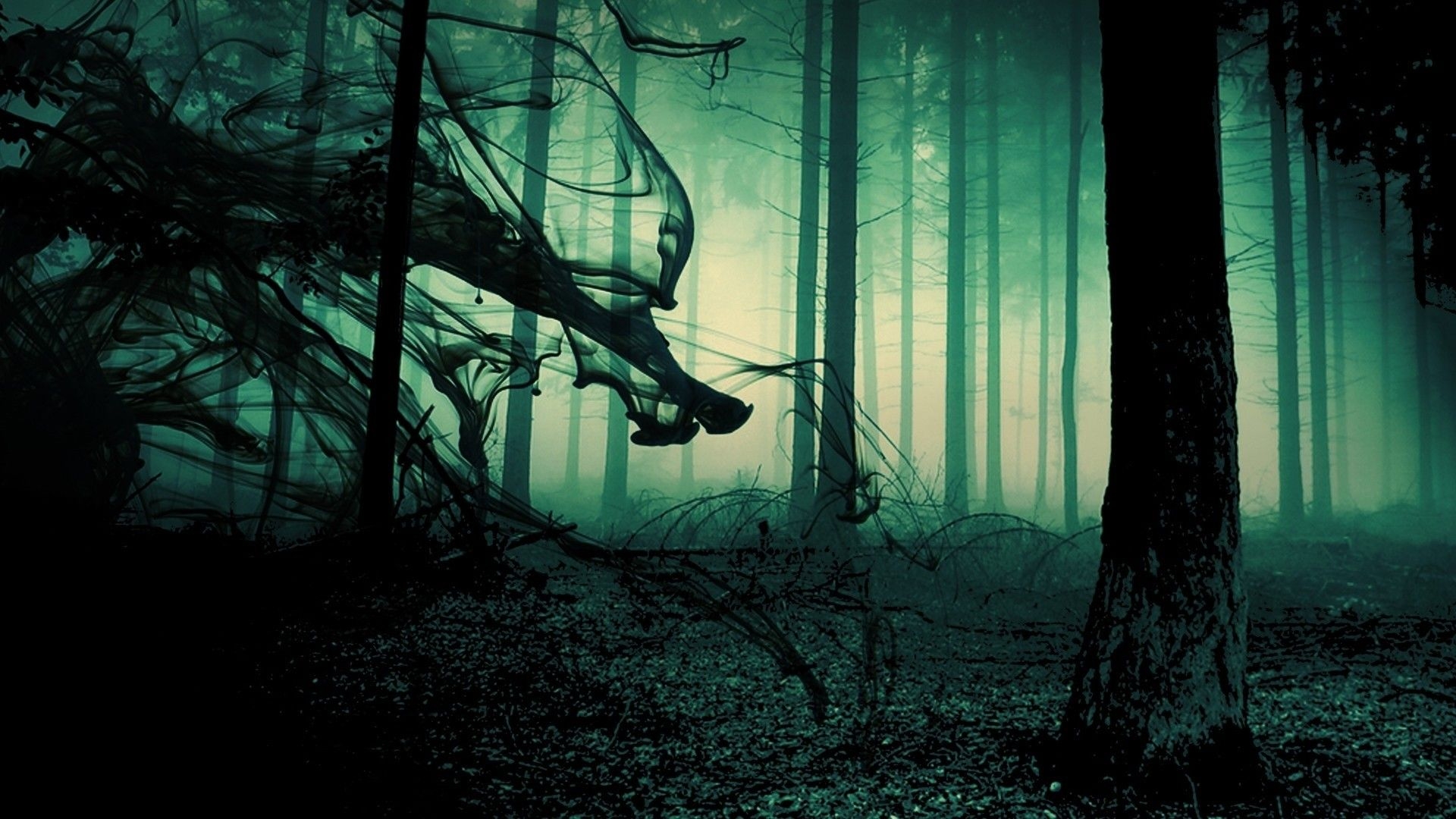 1920x1080 Scary Forest Wallpaper. Background. Photo. Image. Picture, Desktop