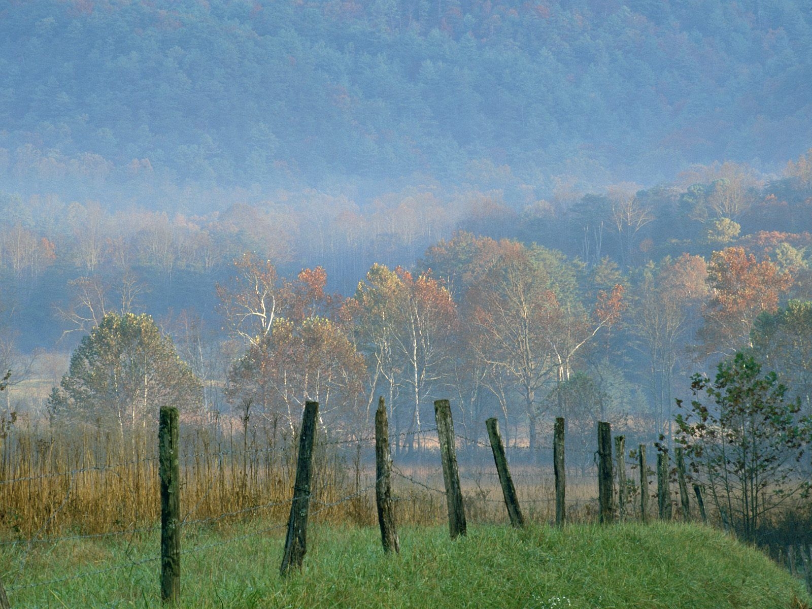 1600x1200 Cades Cove, Great Smoky Mountains National Park, Desktop