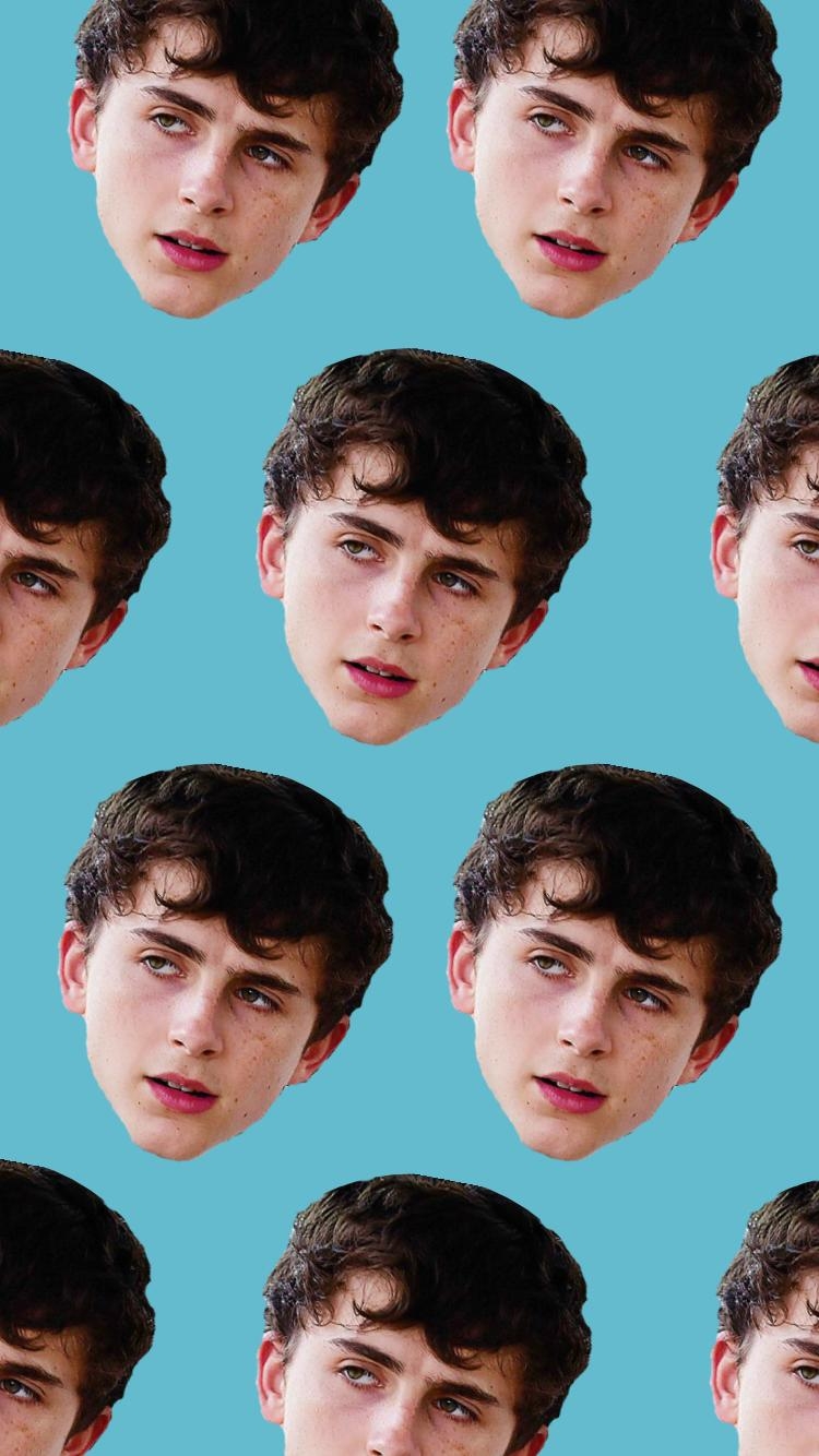 750x1340 Timothee Chalamet Wallpaper for Desktop it up, Phone