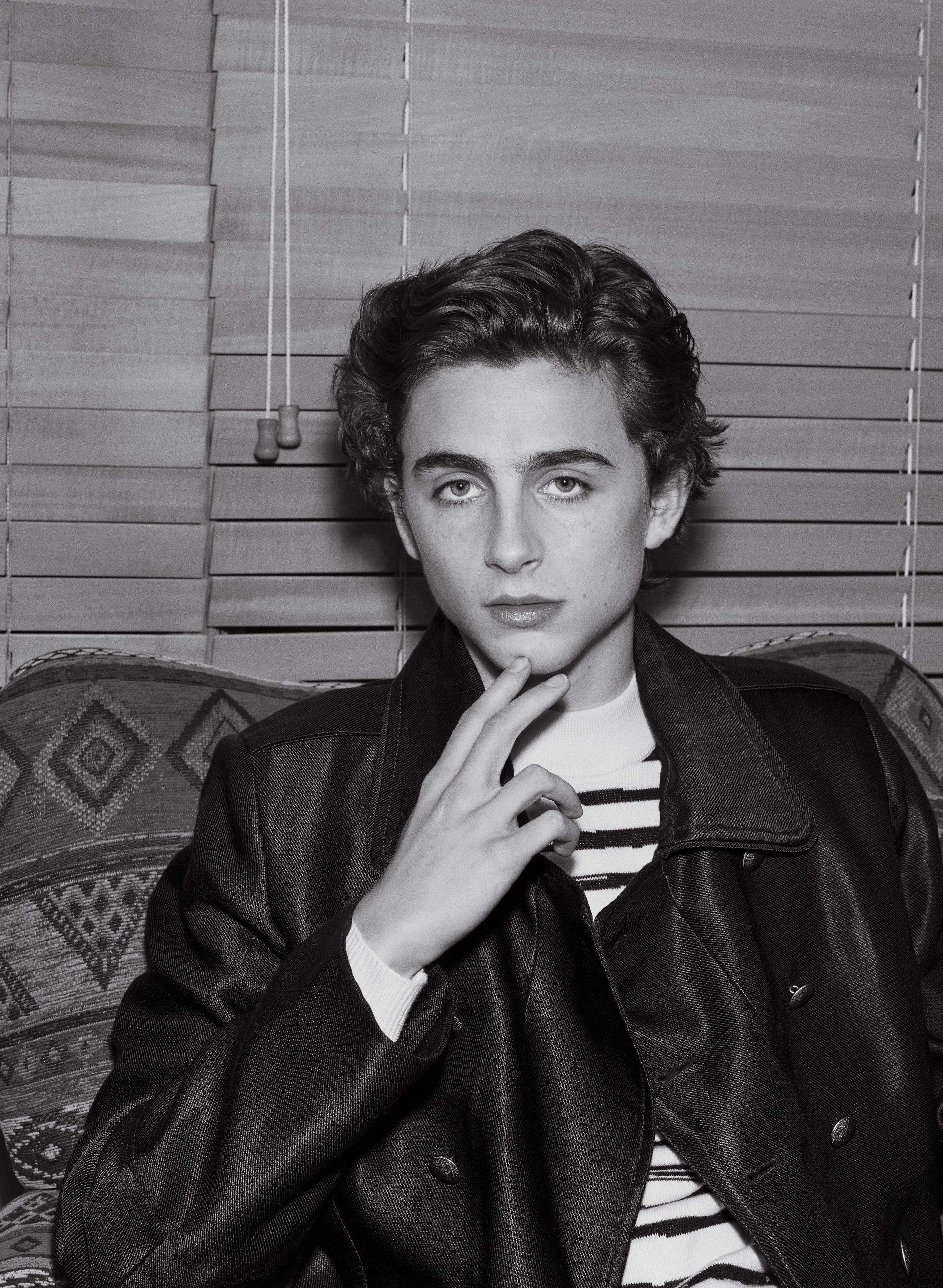 2930x4000 Timothee Chalamet wallpaper, Phone