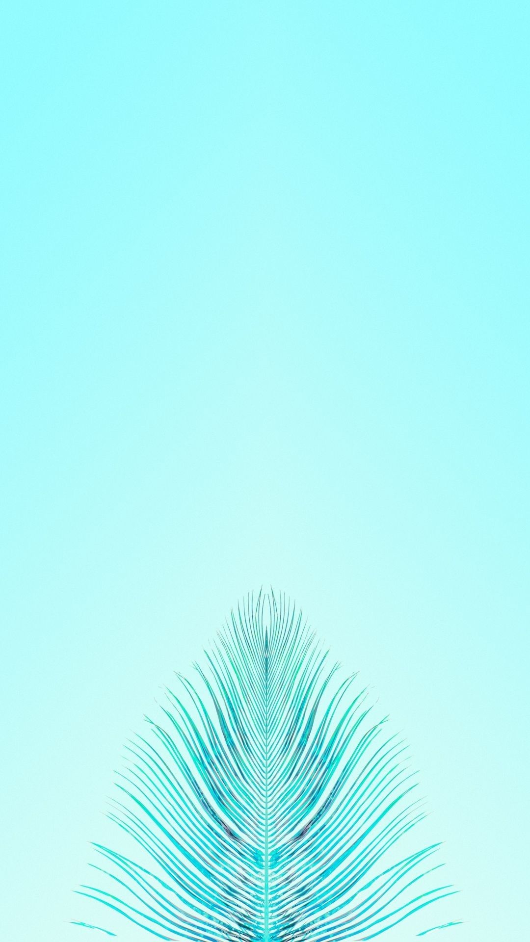 1080x1920 Teal Wallpaper Free Teal Background, Phone