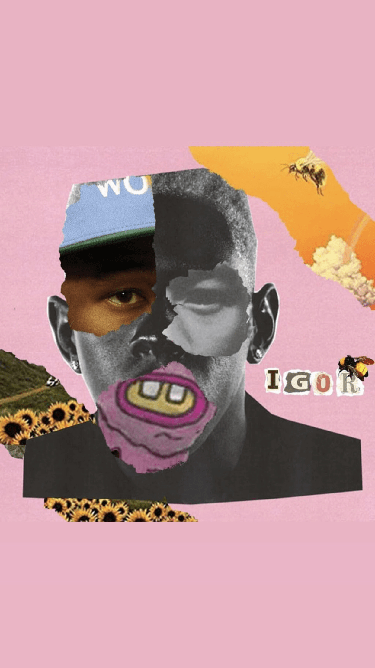 1250x2210 Tyler The Creator wallpaper. Tyler the creator wallpaper, Tyler, Phone