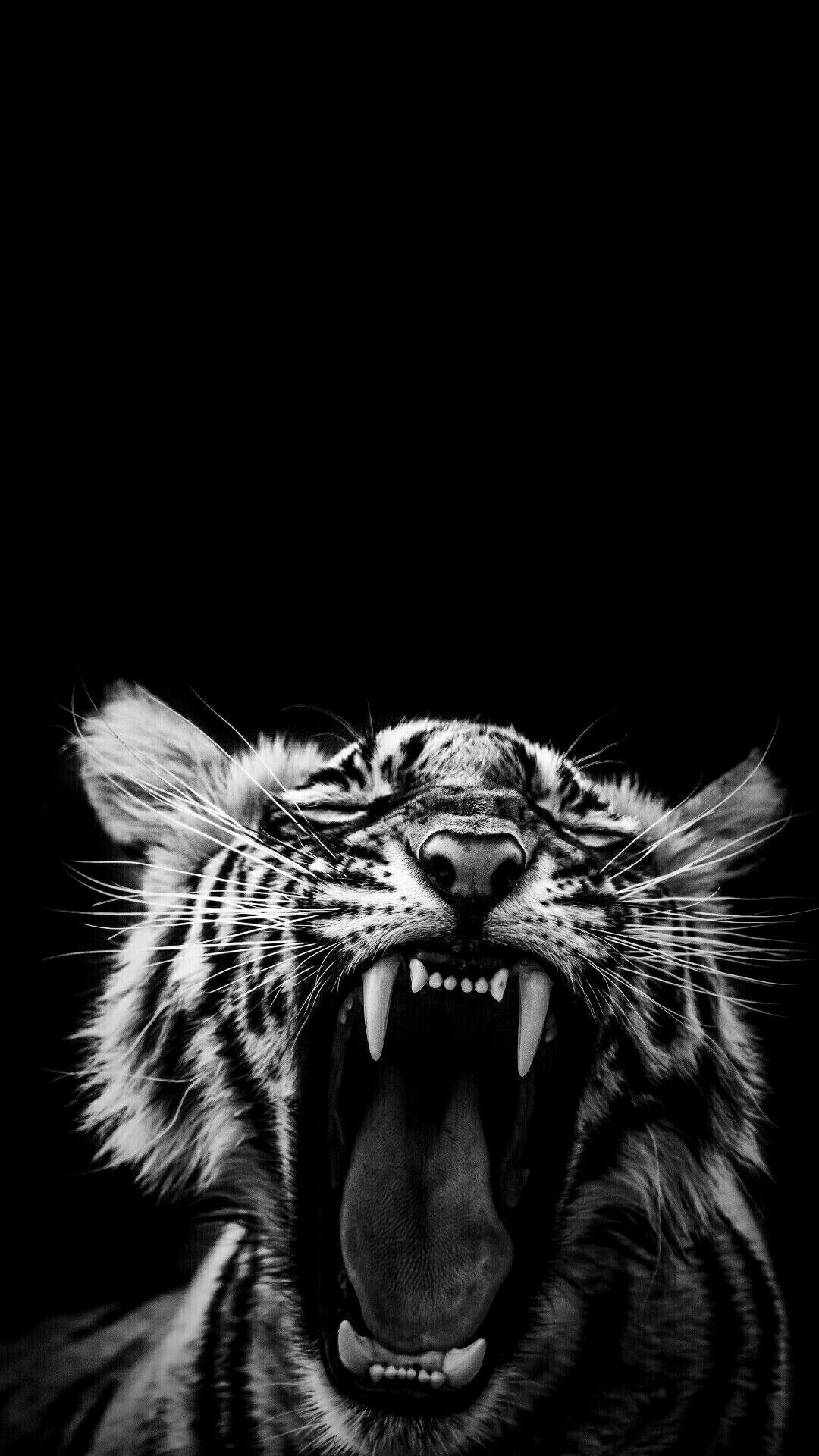 1080x1920 WILD DARK WALLPAPERS. Wild animal wallpaper, Dark wallpaper, Tiger wallpaper, Phone