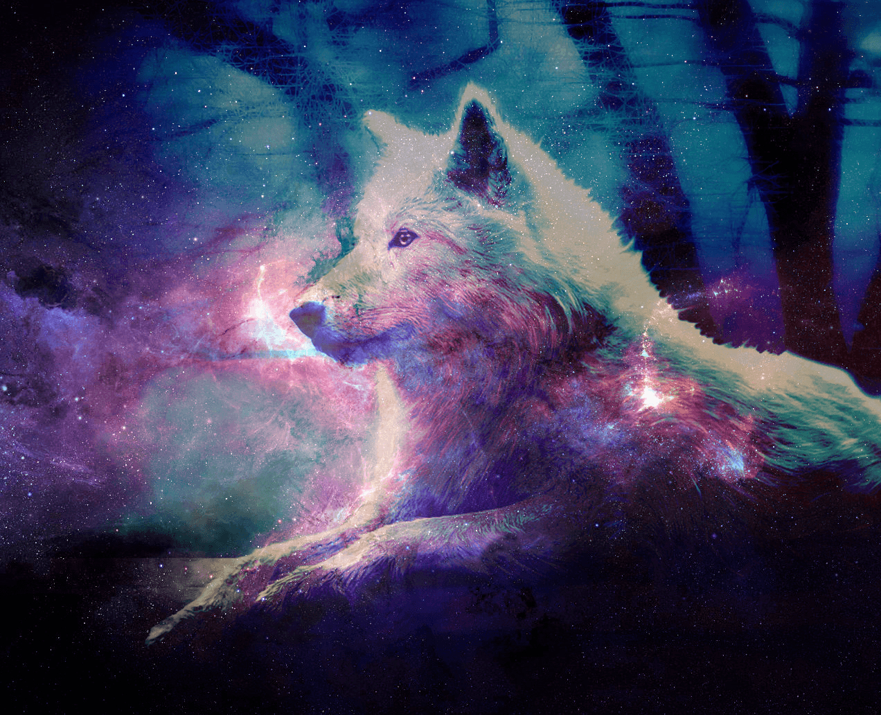 1280x1040 Cute Galaxy Wolf Wallpaper Free Cute Galaxy Wolf Background, Desktop