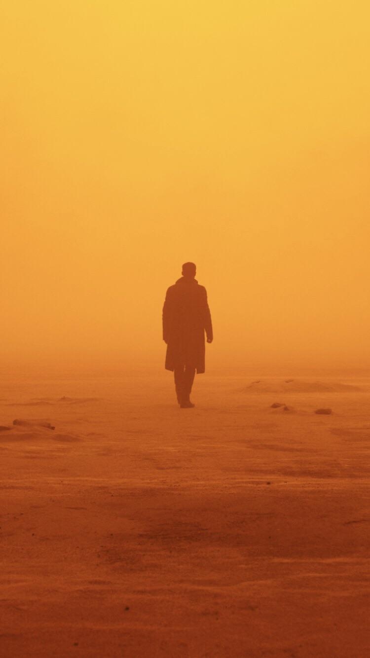 750x1340 A dope 2049 iPhone wallpaper, Phone