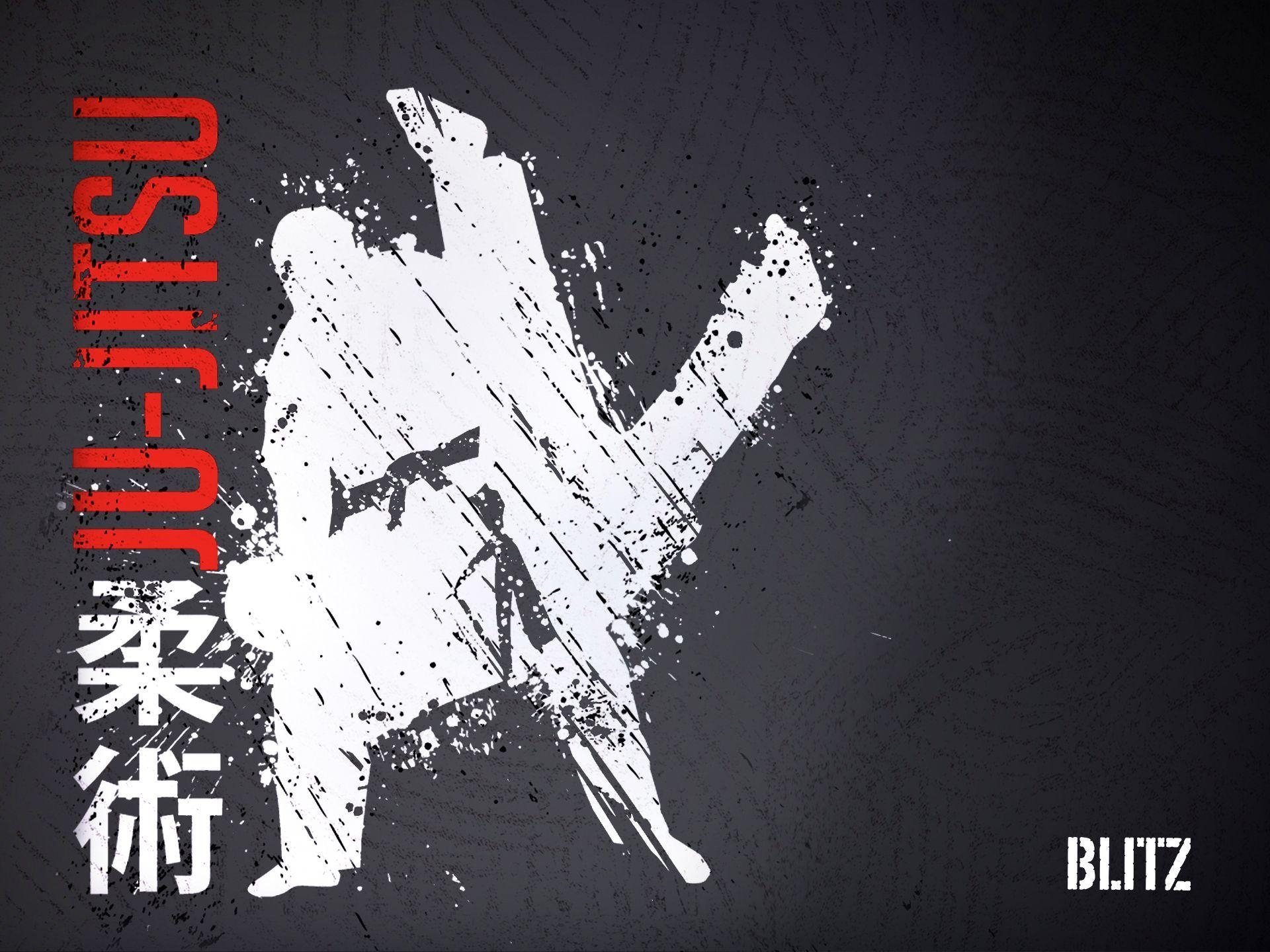 1920x1440 Blitz Ju Jitsu Wallpaper (1920 x 1440). - Jiu Jitsu, Desktop