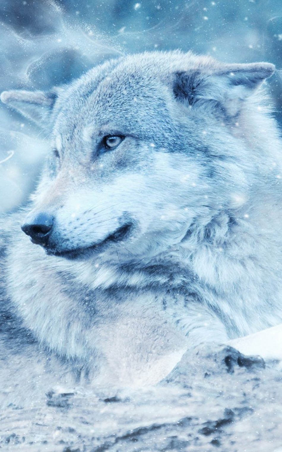 950x1520 Winter Wolf 4K Ultra HD Mobile Wallpaper, Phone