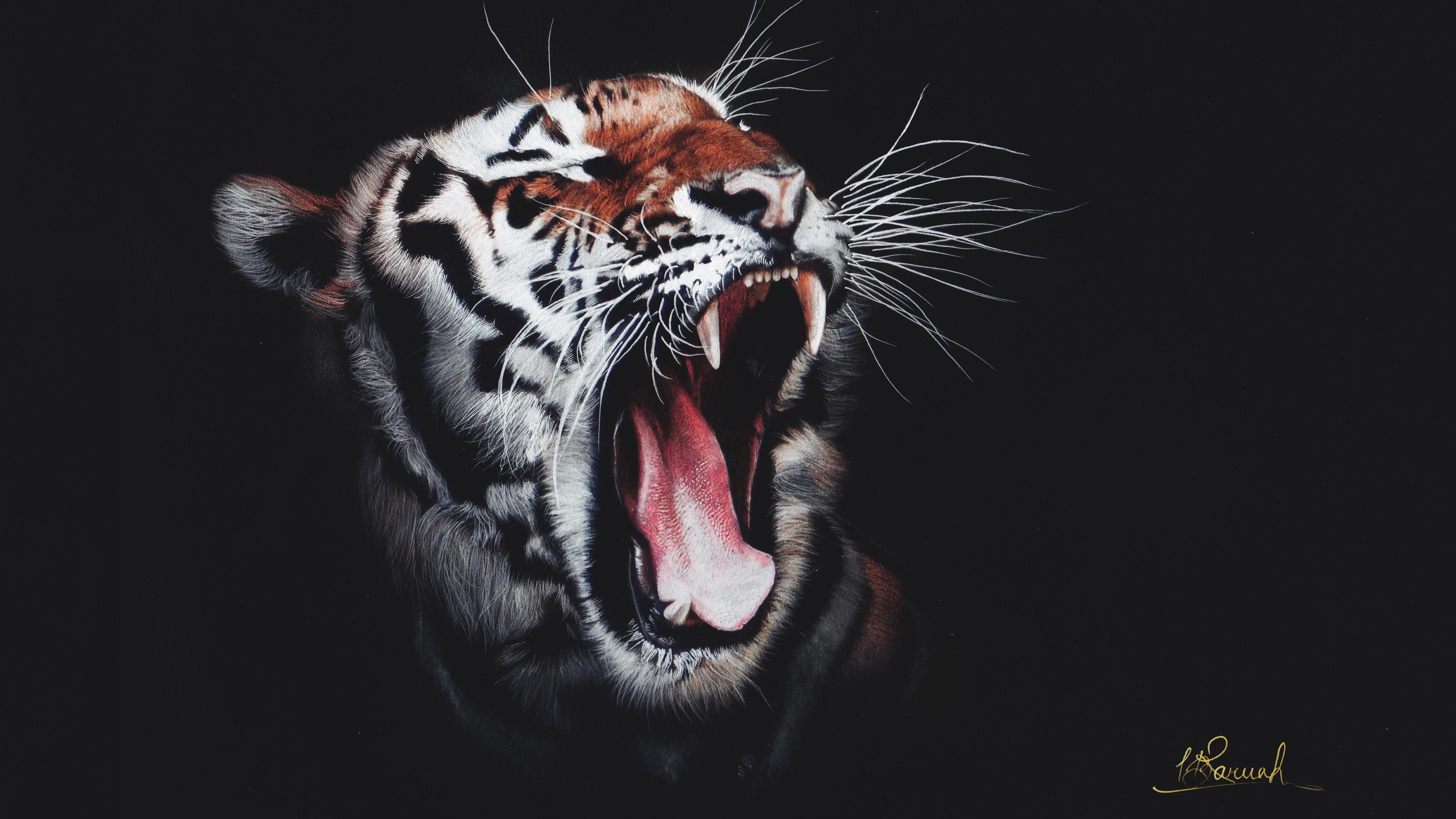 3840x2160 Roaring Tiger 4K Wallpaper, Desktop