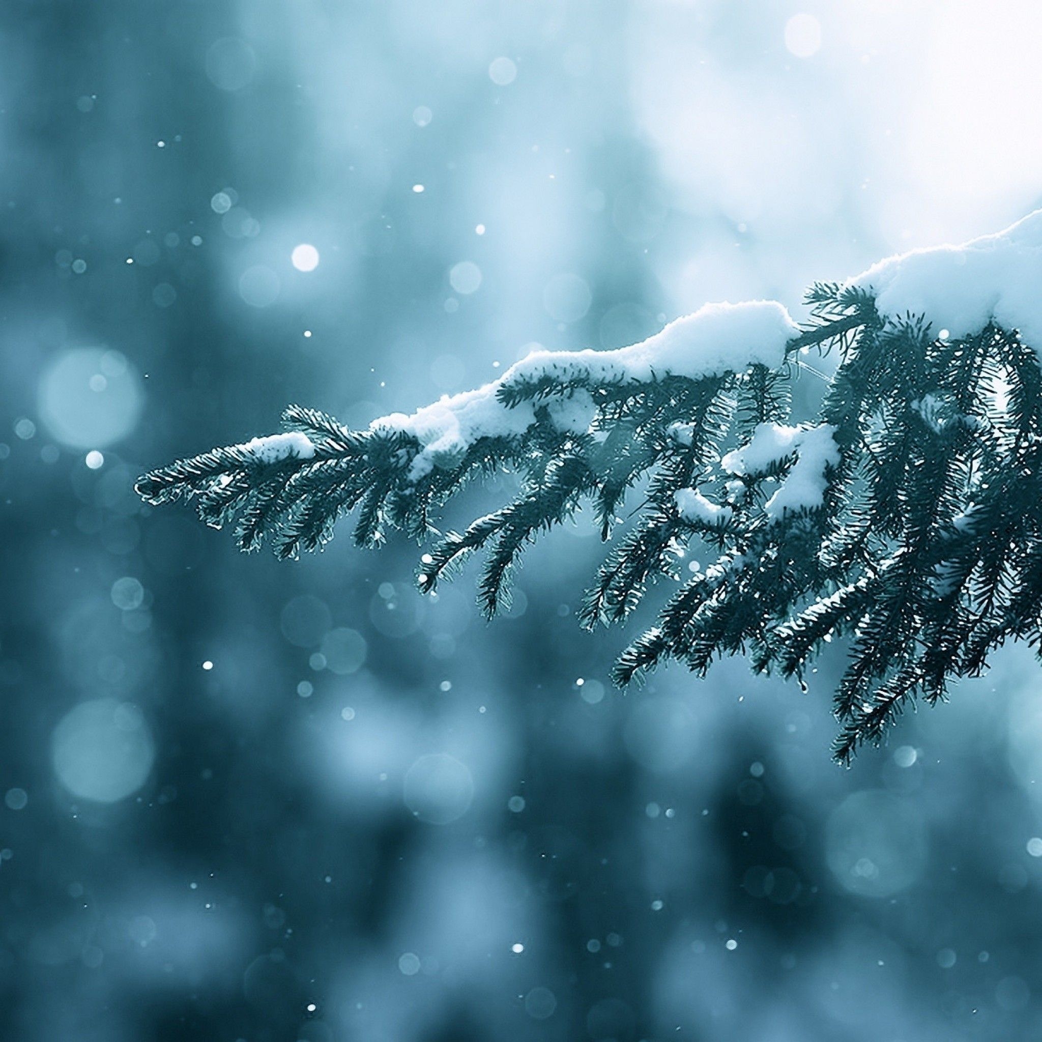 2050x2050 Winter iPad Wallpaper Free Winter iPad Background, Phone