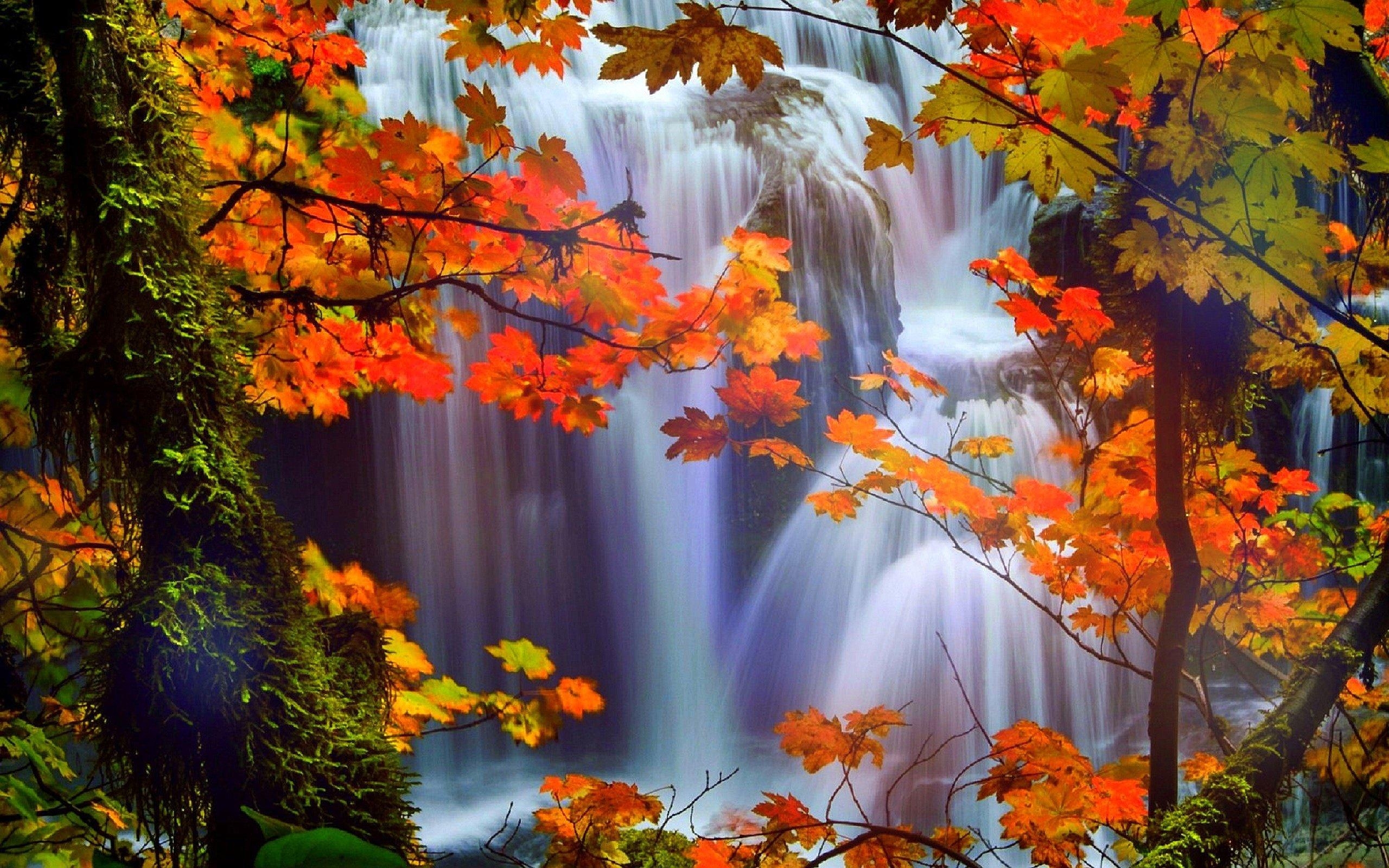 2560x1600 Free download HD Fall Scenery Wallpaper Wallpapercraft, Desktop