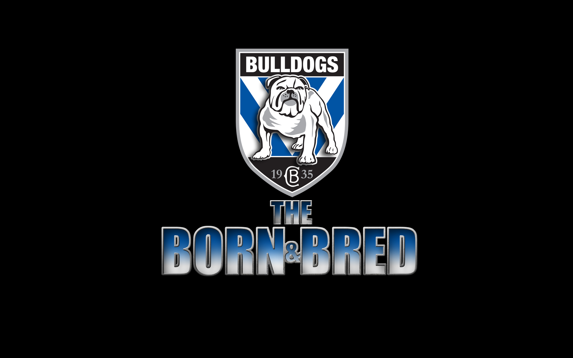 1920x1200 Canterbury Bankstown Bulldogs HD Wallpaper And Background, Desktop