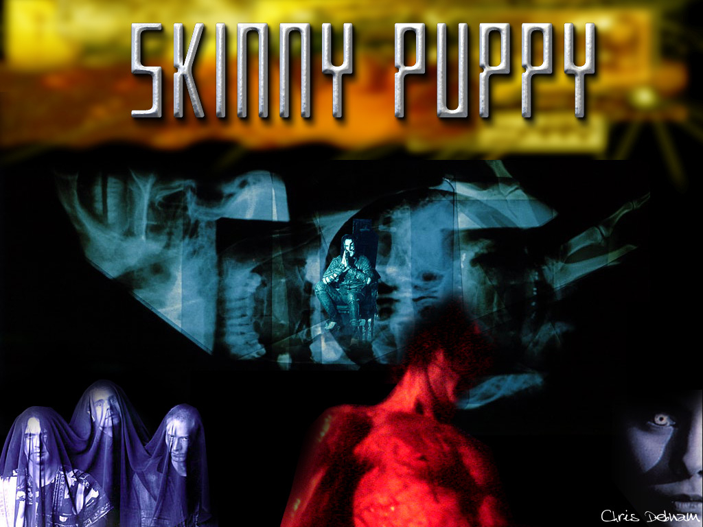 1030x770 skinny puppy. free wallpaper, music wallpaper, desktop backrgounds!, Desktop