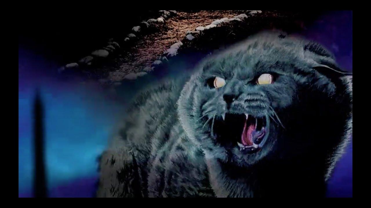 1280x720 Unearthed & Untold: The Path to Pet Sematary, Desktop