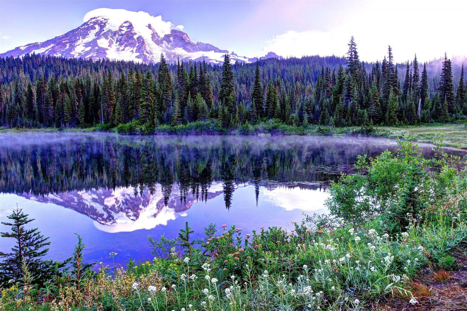 1920x1280 mount rainier national park united states sky spring tree mountain, Desktop