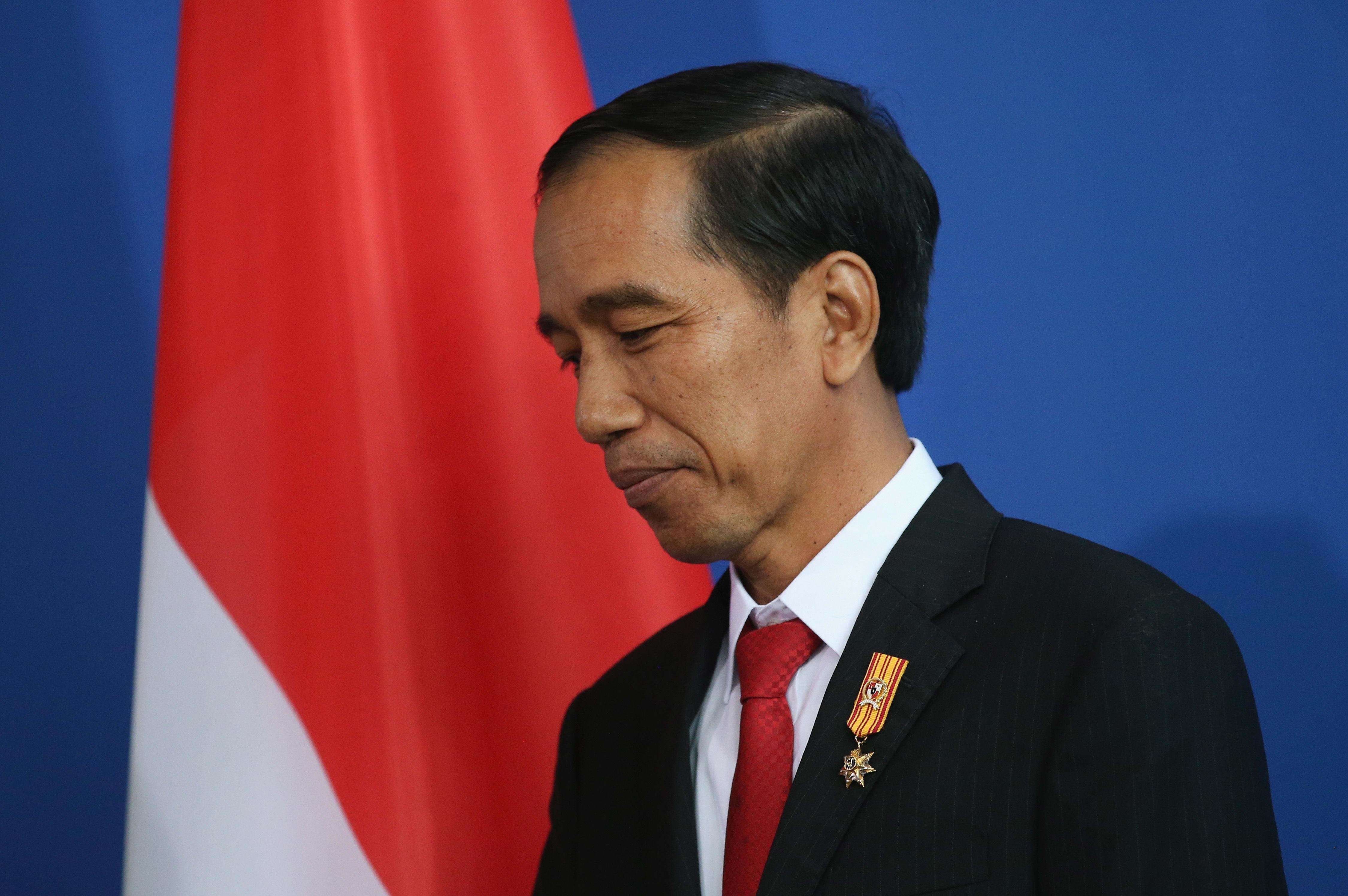 4500x3000 Indonesian President Jokowi celebrates 2 years in office, Desktop