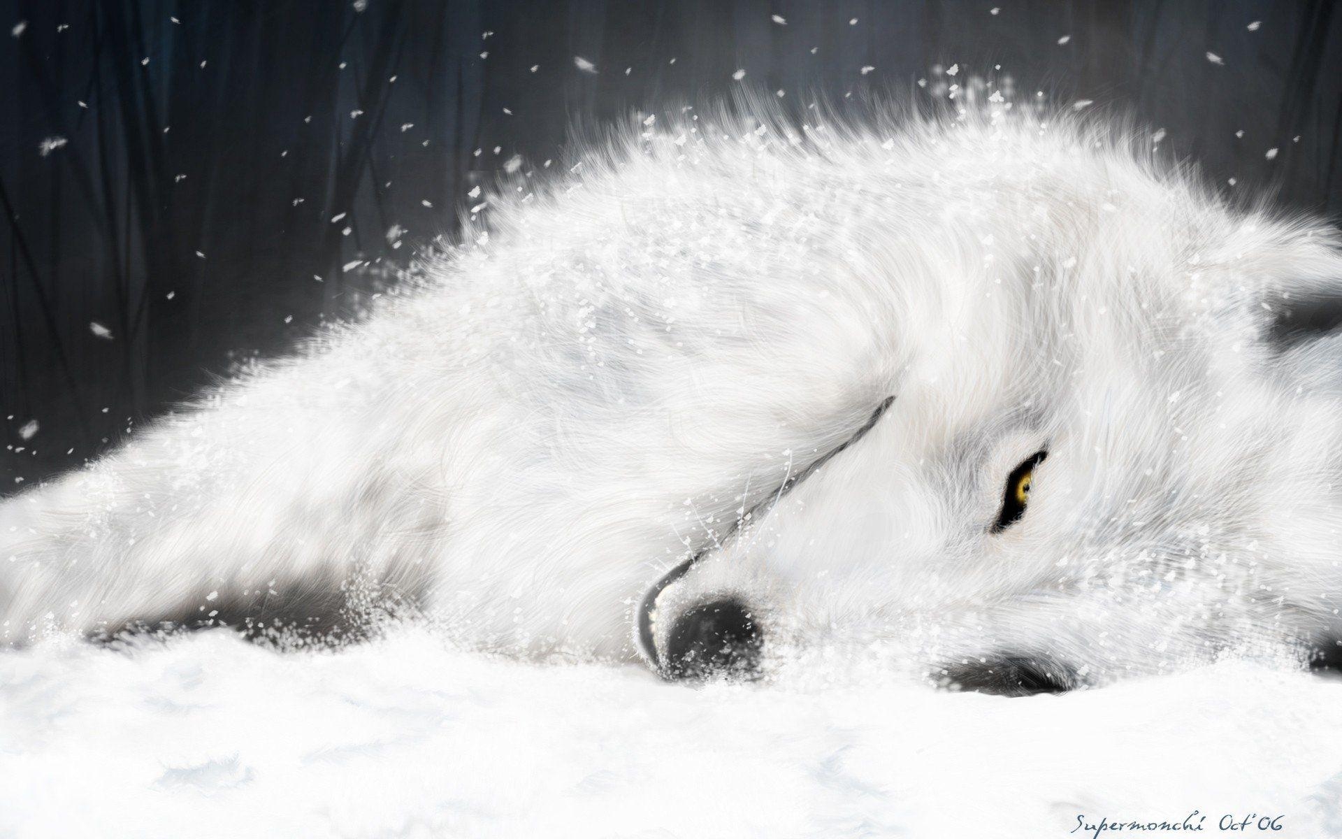 1920x1200 Wolf's Rain HD Wallpaper and Background Image, Desktop