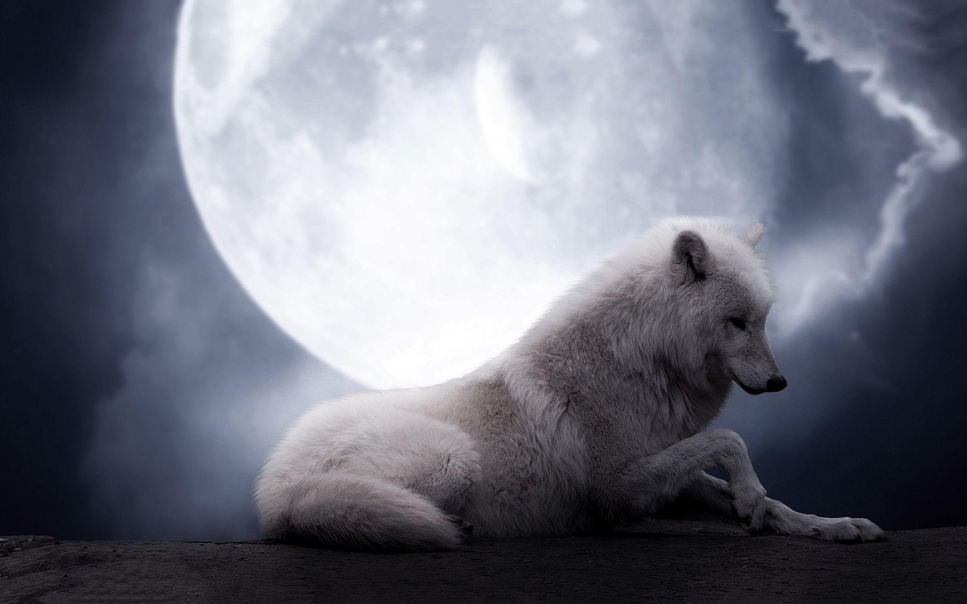 1920x1200 Wolf Moon Wallpaper Full HD, Desktop