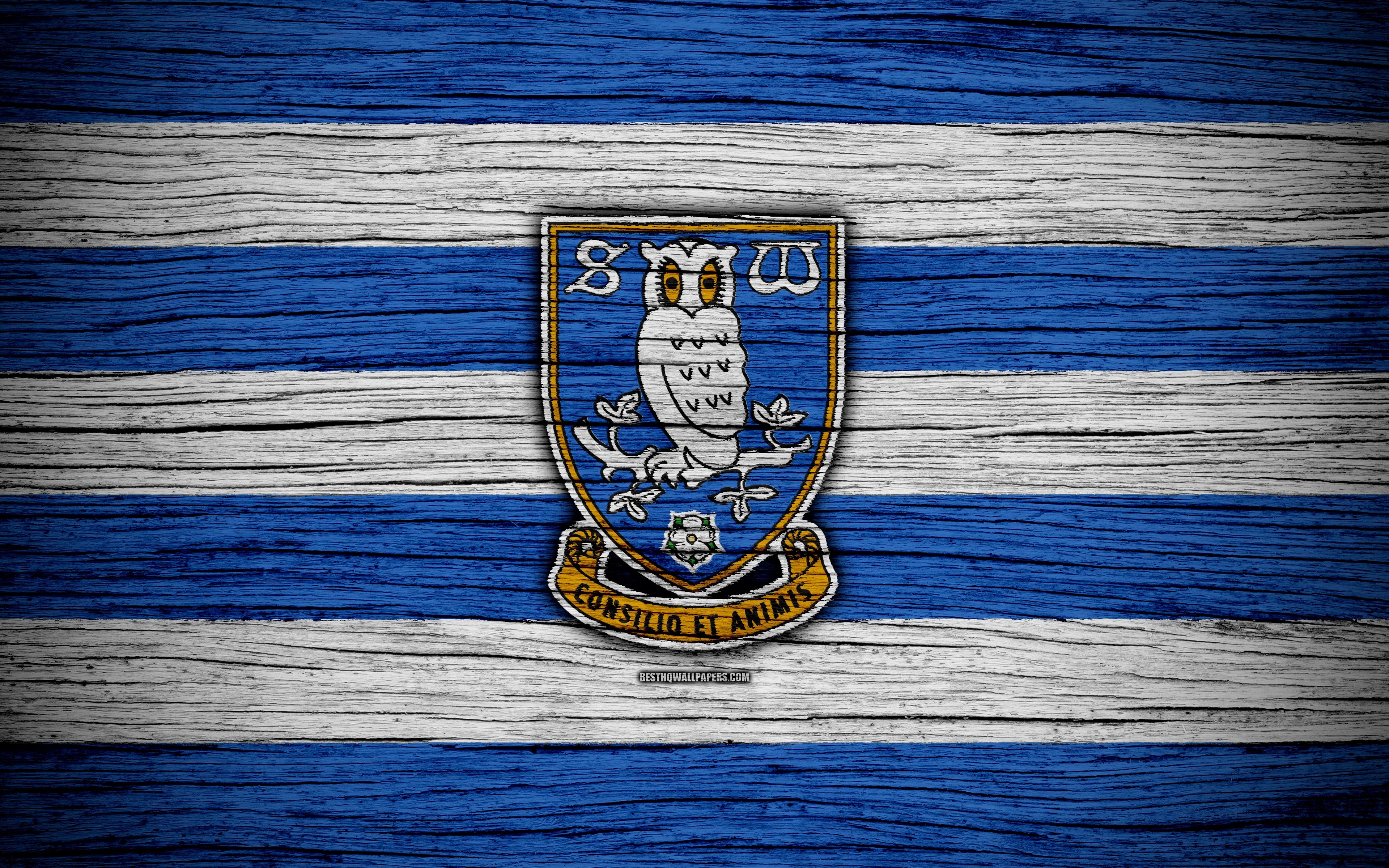 3840x2400 Download wallpaper Sheffield Wednesday FC, 4k, EFL Championship, Desktop