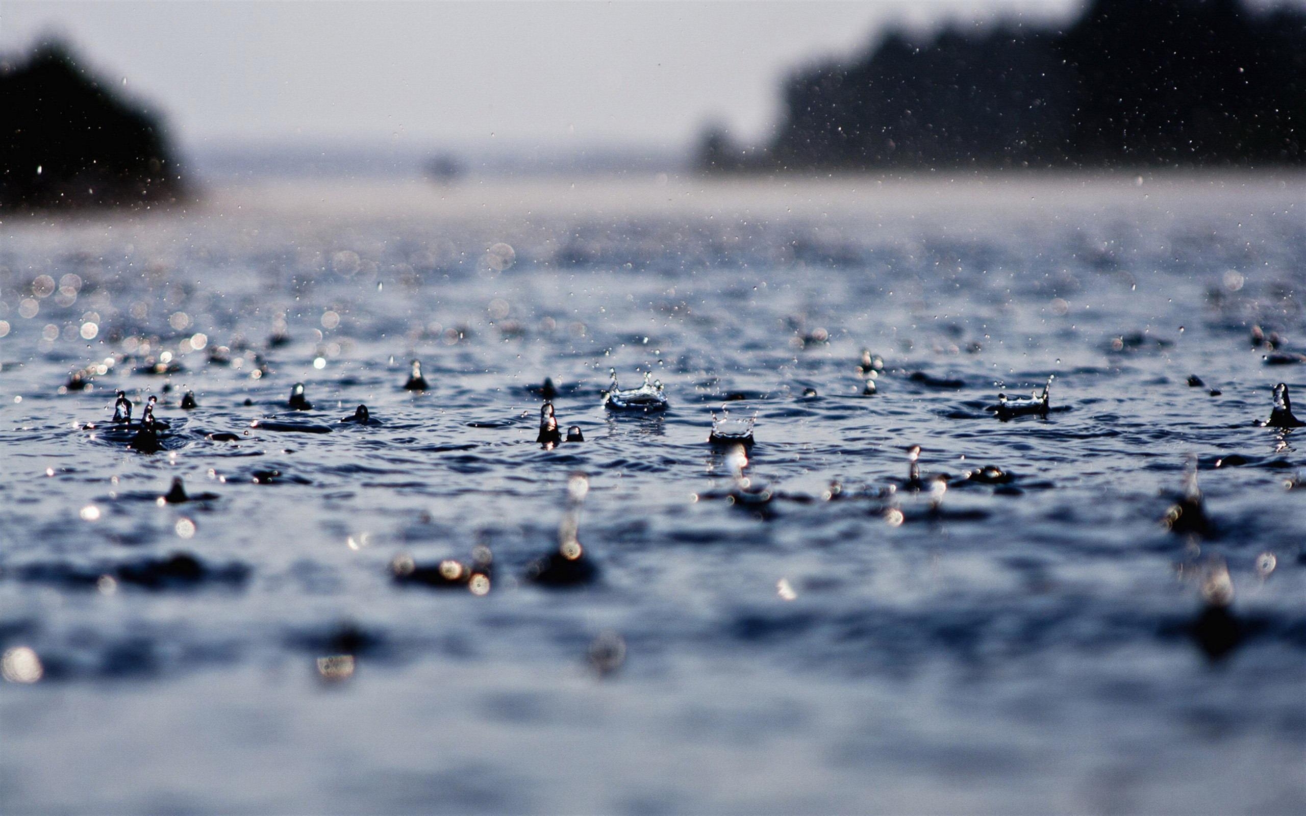 2560x1600 Raindrops Live Background Image, HD Wallpaper, Desktop