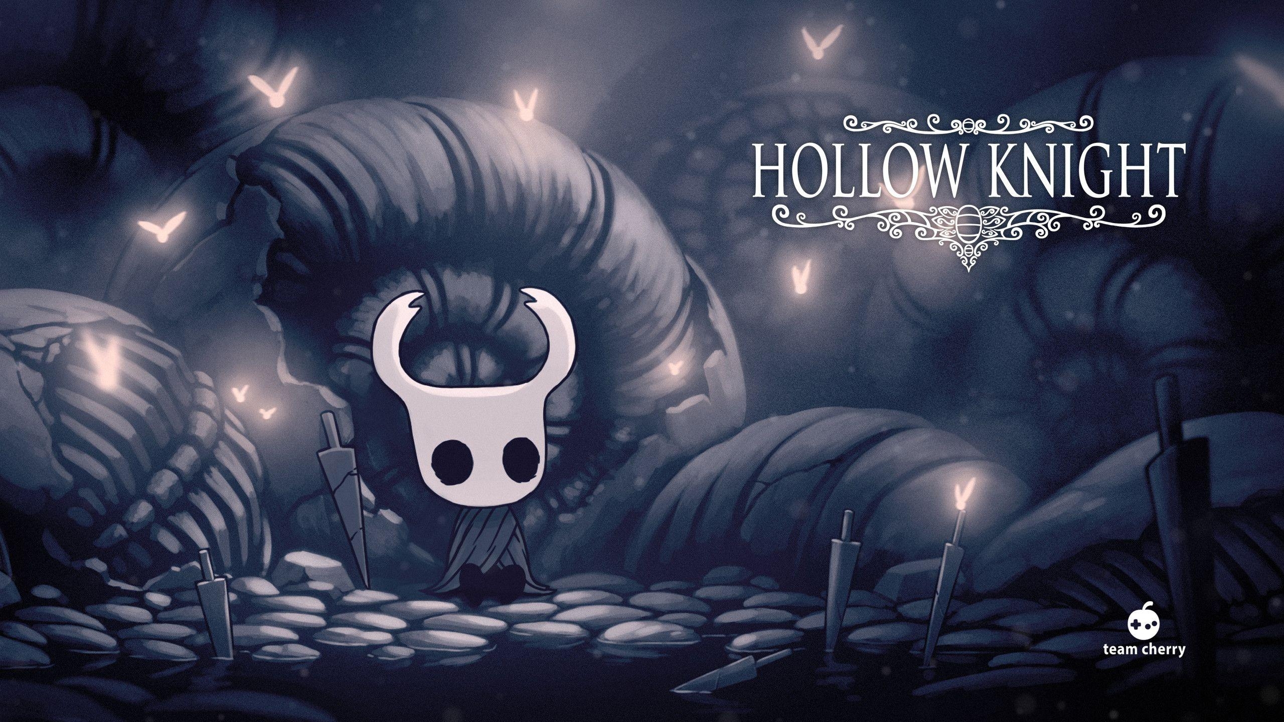 2560x1440 Hollow Knight, Desktop