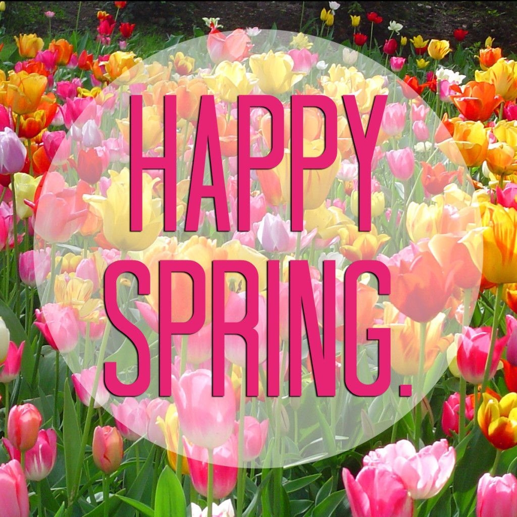 1030x1030 Happy Spring! Is Honey. Happy spring day, Spring image, Happy spring, Phone