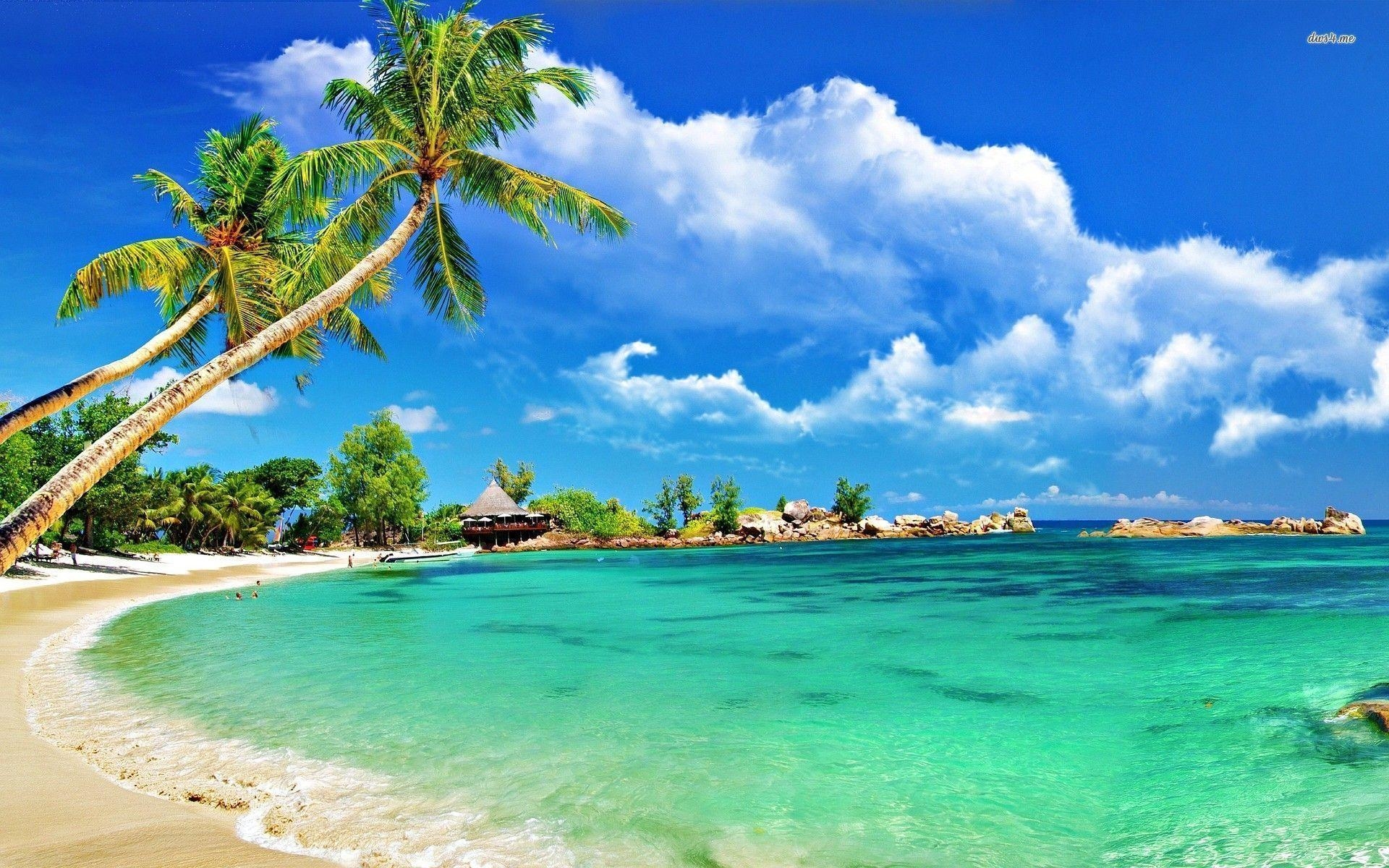 1920x1200 tropical beach wallpaper, Desktop