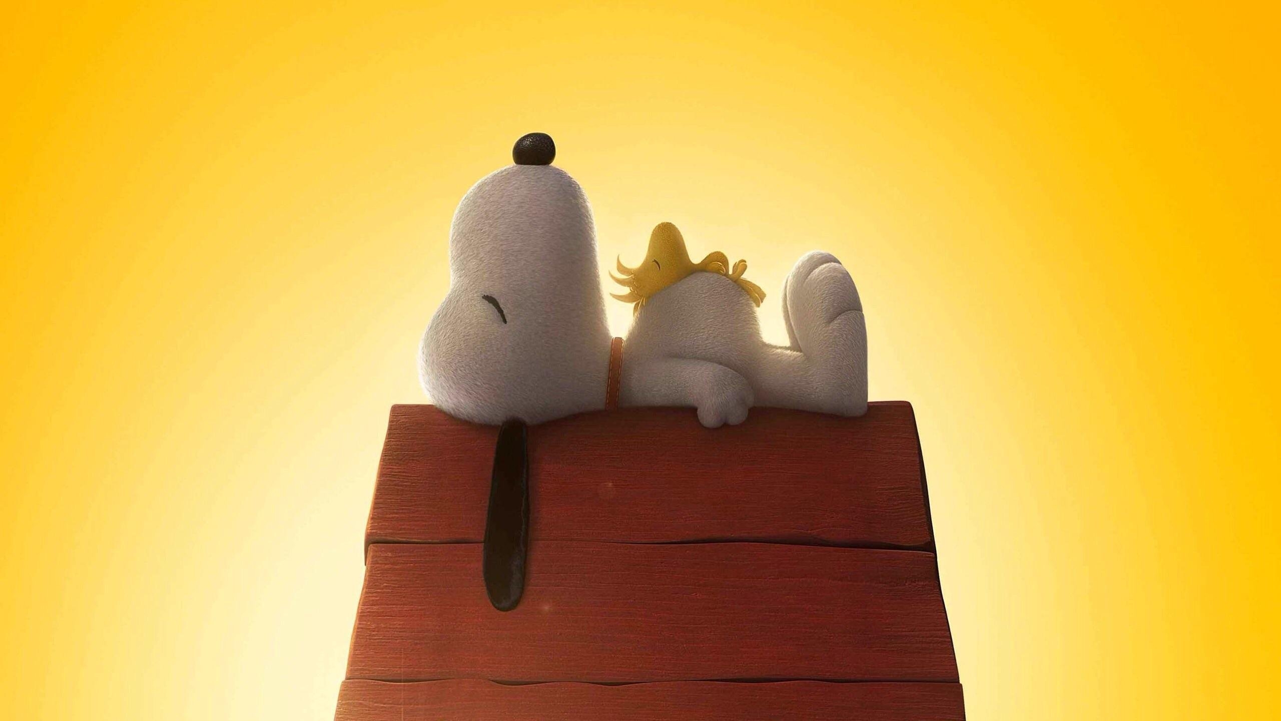 2560x1440 Snoopy 4K wallpaper for your desktop or mobile screen free and easy to download, Desktop